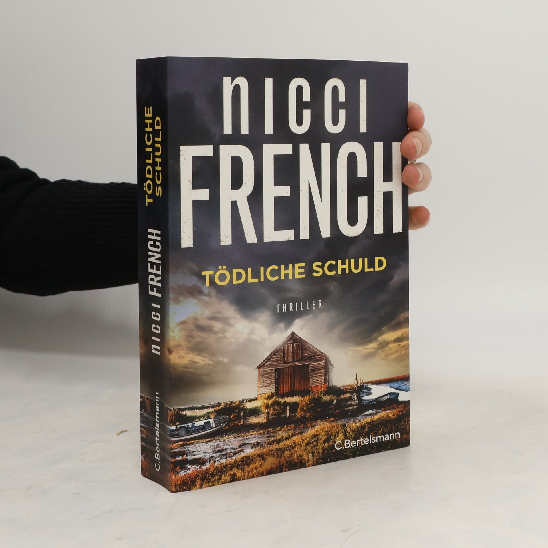 Nicci French Tödliche Schuld