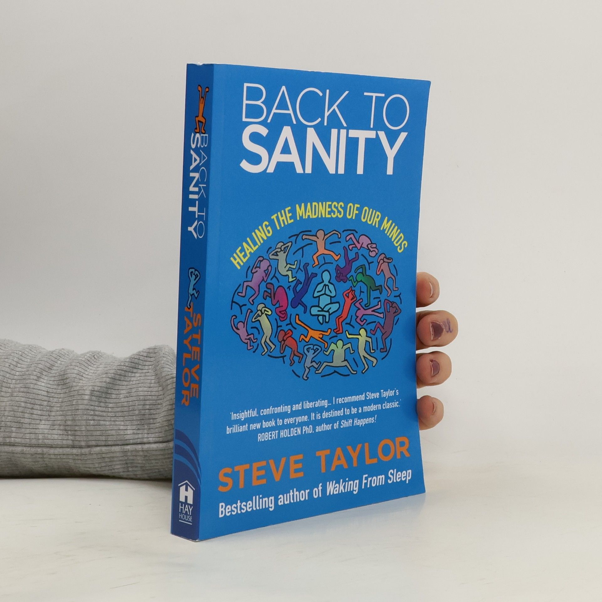 Steve Taylor Back to Sanity
