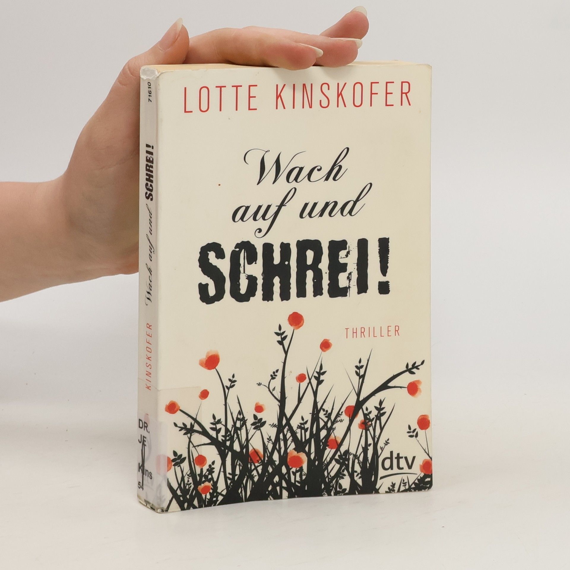 Lieselotte Kinskofer Wach auf und schrei!