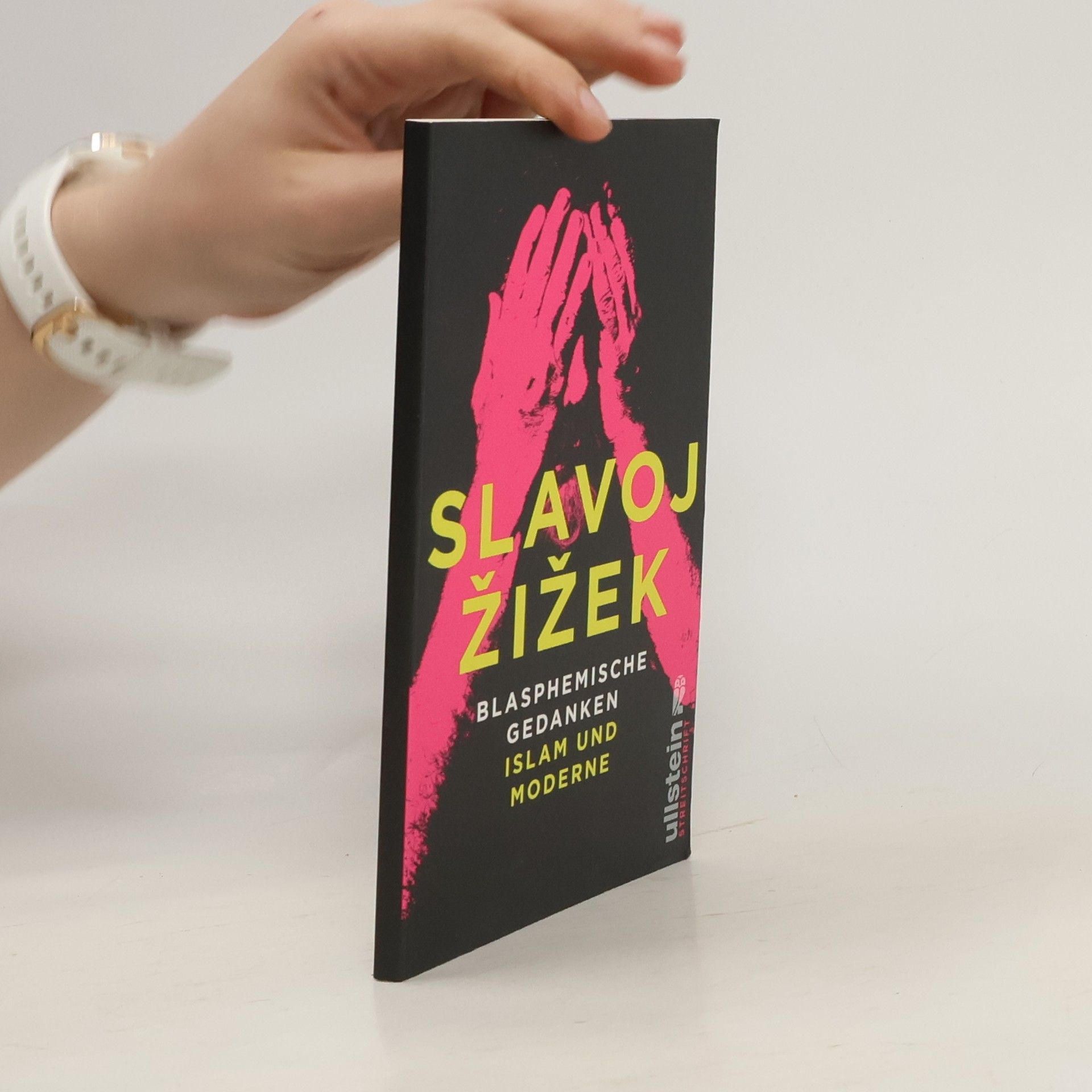 Slavoj Žižek Blasphemische Gedanken - Islam und Moderne