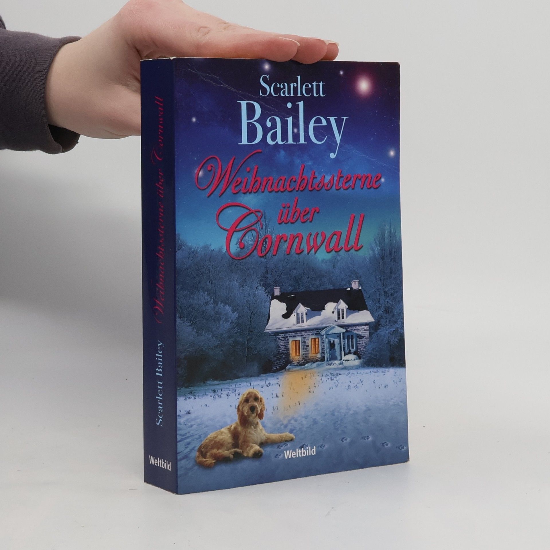 Scarlett Bailey Weihnachtssterne über Cornwall