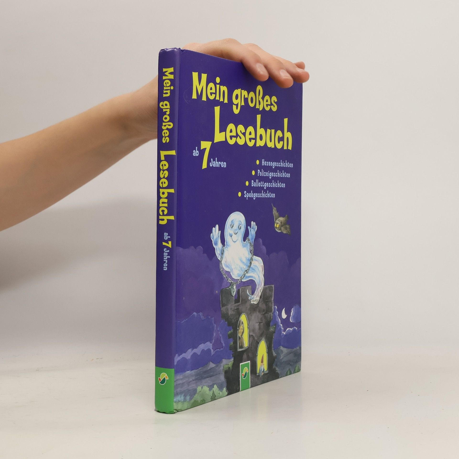 Anke Breitenborn Mein großes Lesebuch ab 7 Jahren