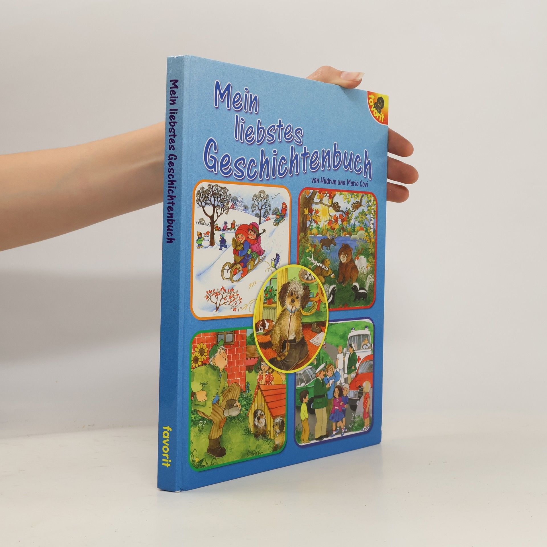 Collectif d'auteurs Mein liebstes Geschichtenbuch