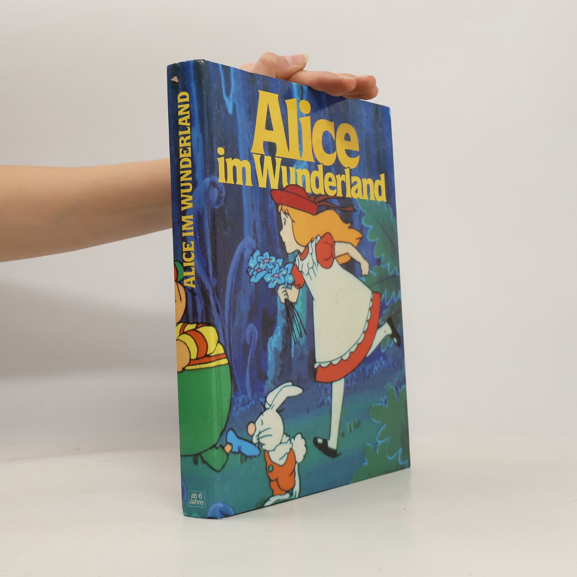 kolektiv Alice im Wunderland