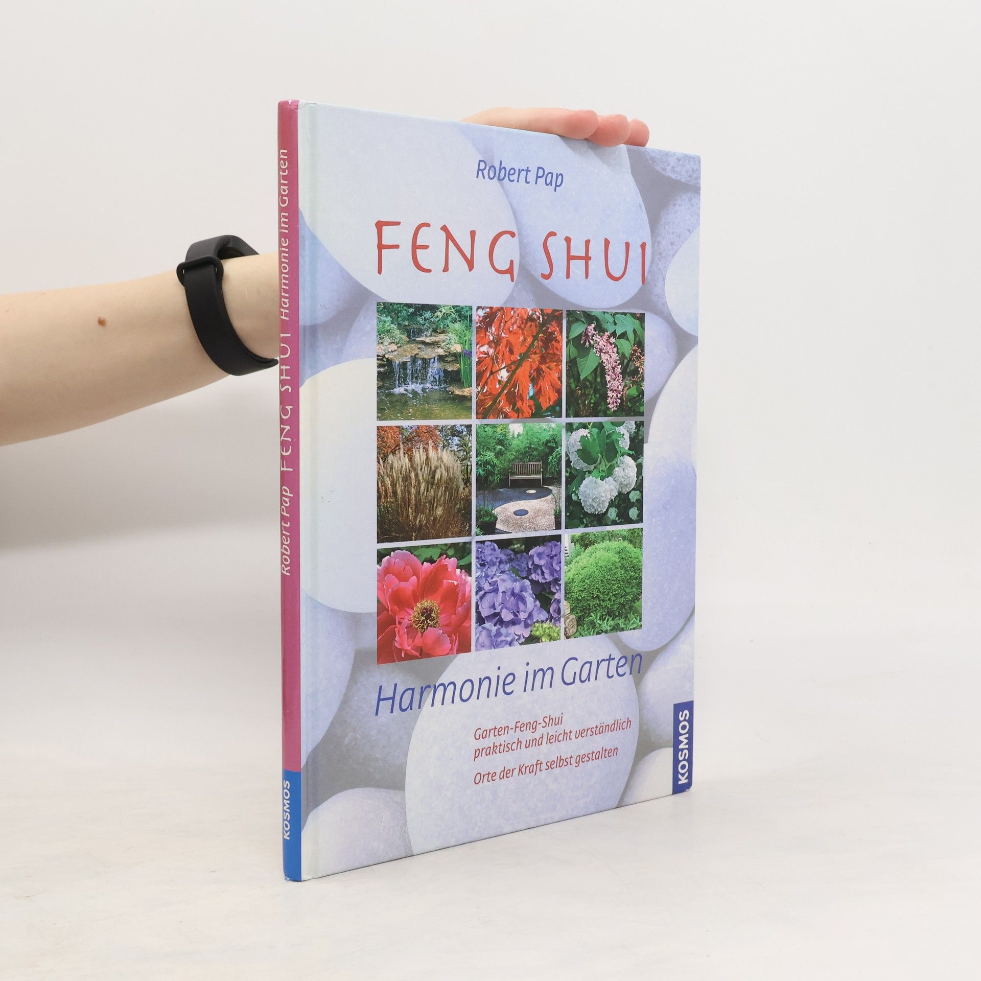 Robert Pap Feng Shui - Harmonie im Garten