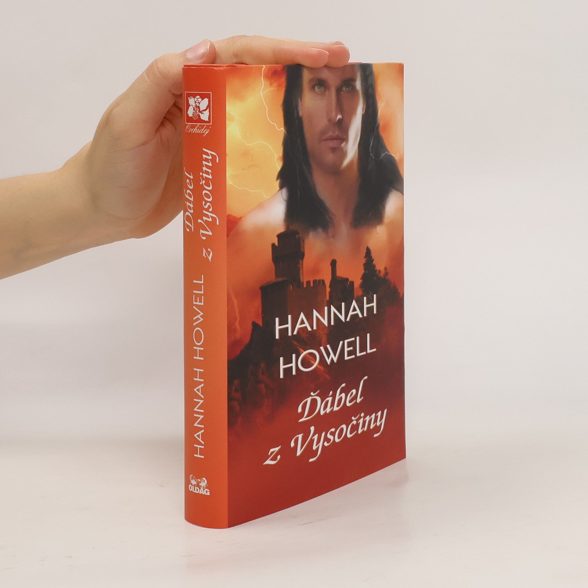 Hannah Howell Ďábel z Vysočiny