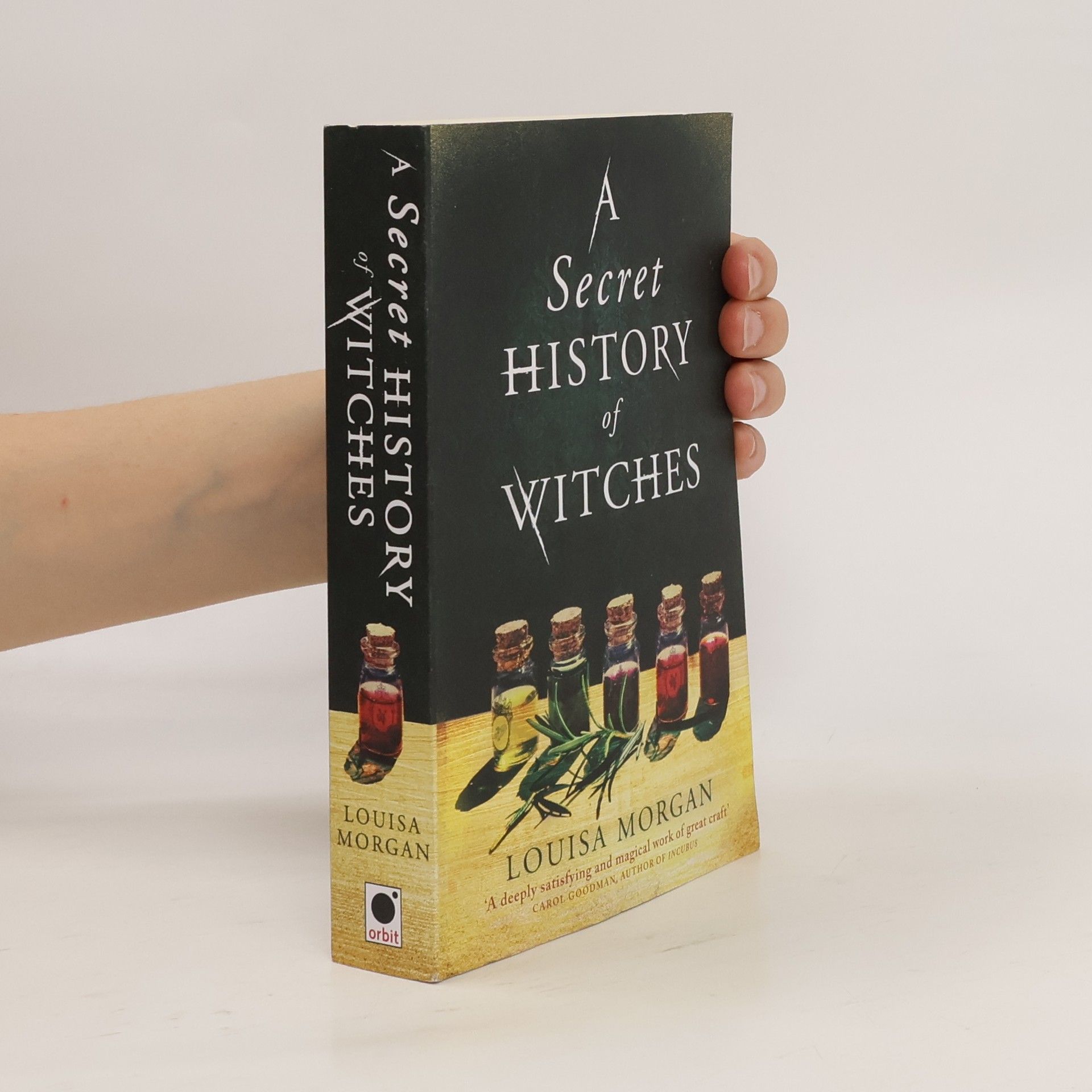 Louisa Morgan Secret History of Witches