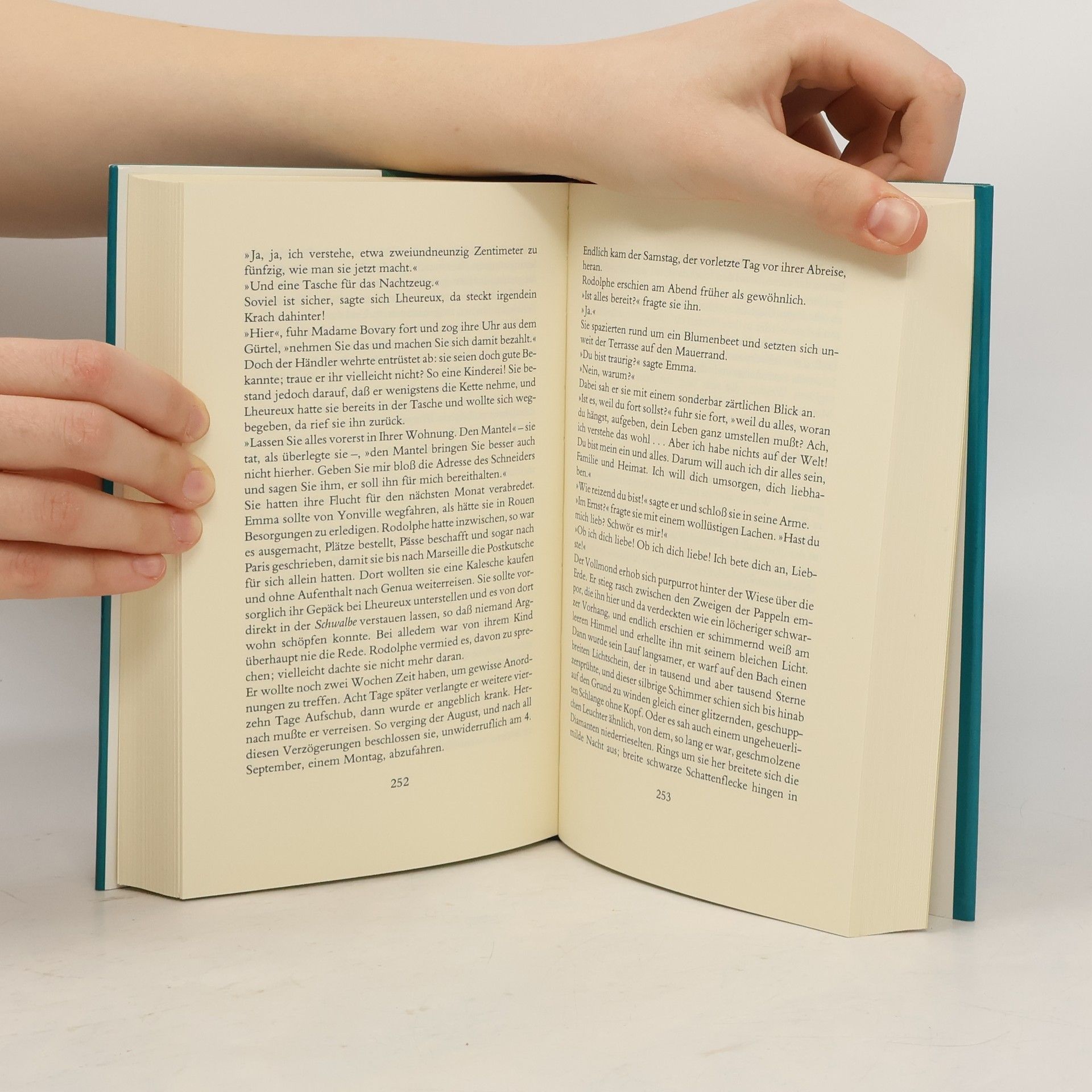 Gustave Flaubert Madame Bovary