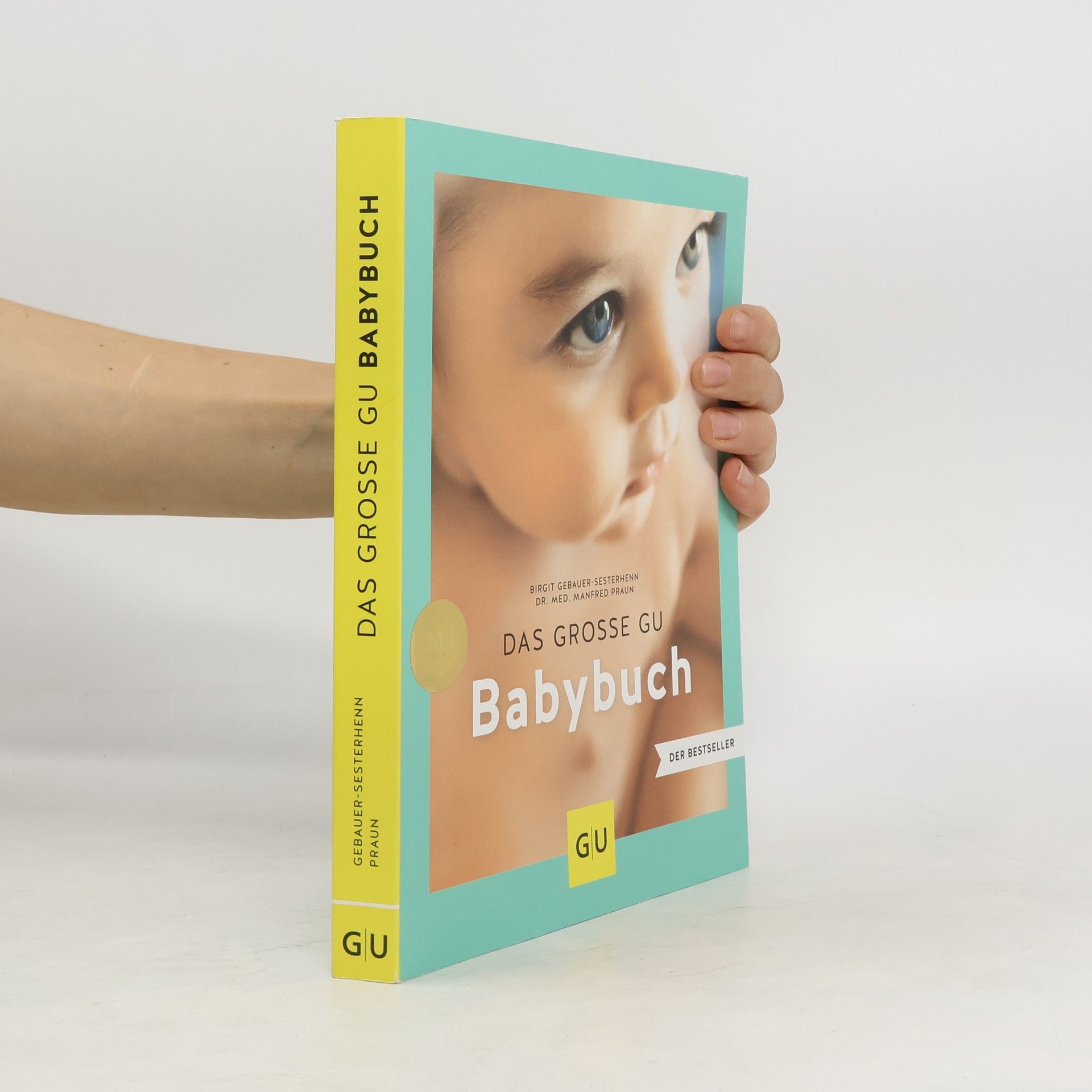 Birgit Gebauer-Sesterhenn Das große GU Babybuch