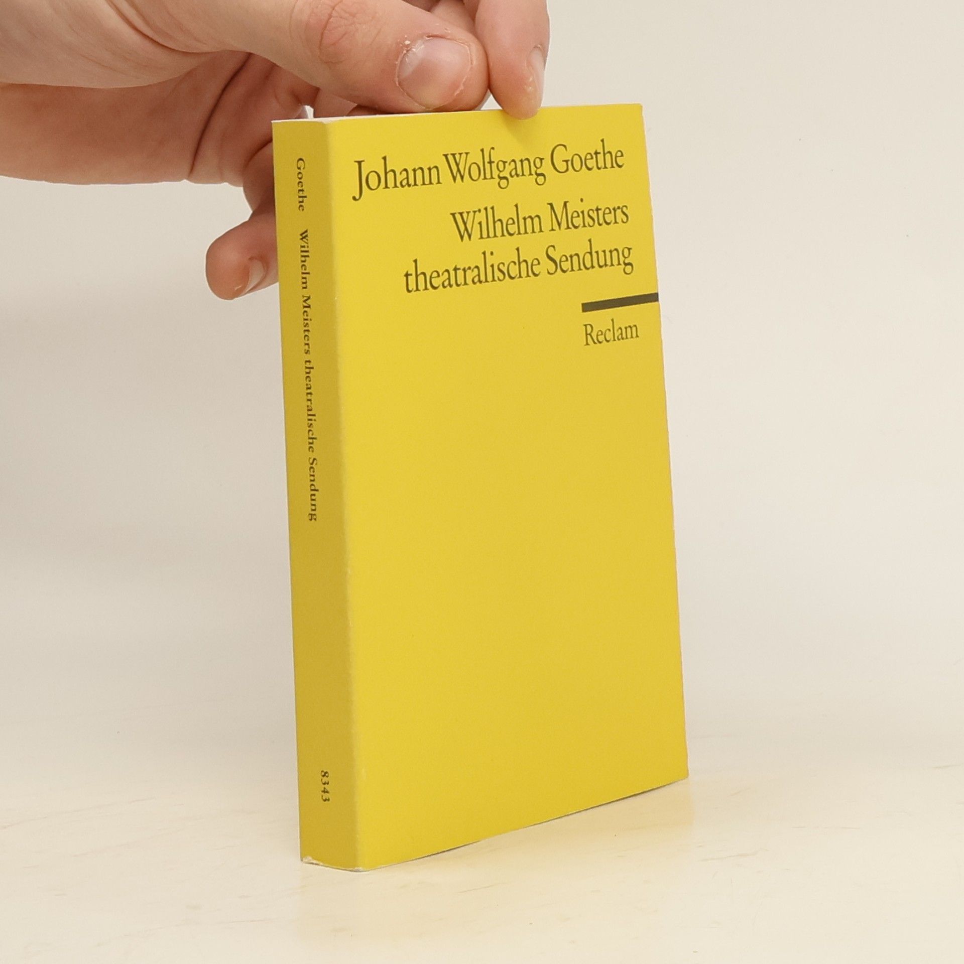 Johann Wolfgang von Goethe Wilhelm Meisters theatralische Sendung