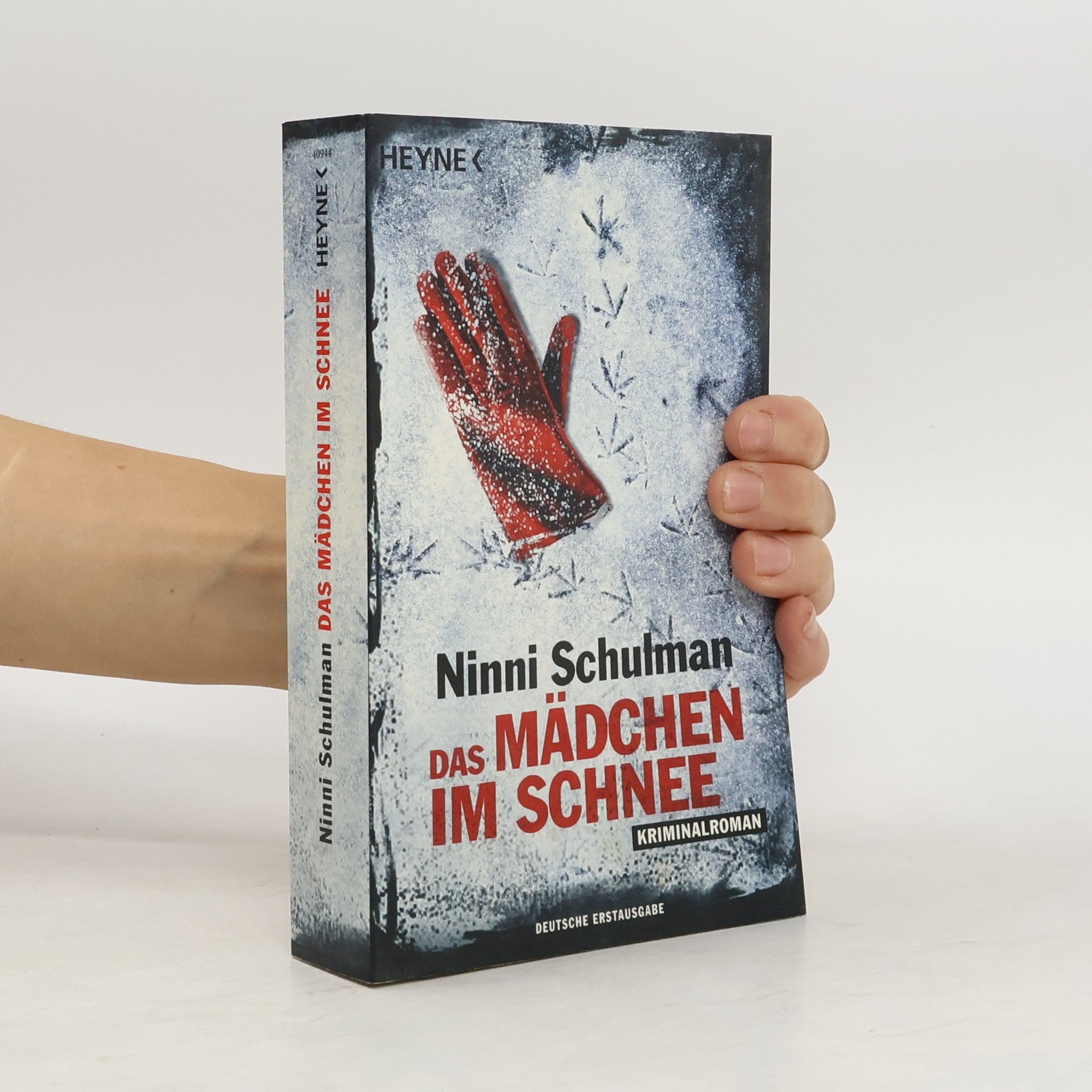 Ninni Schulman Das Mädchen im Schnee