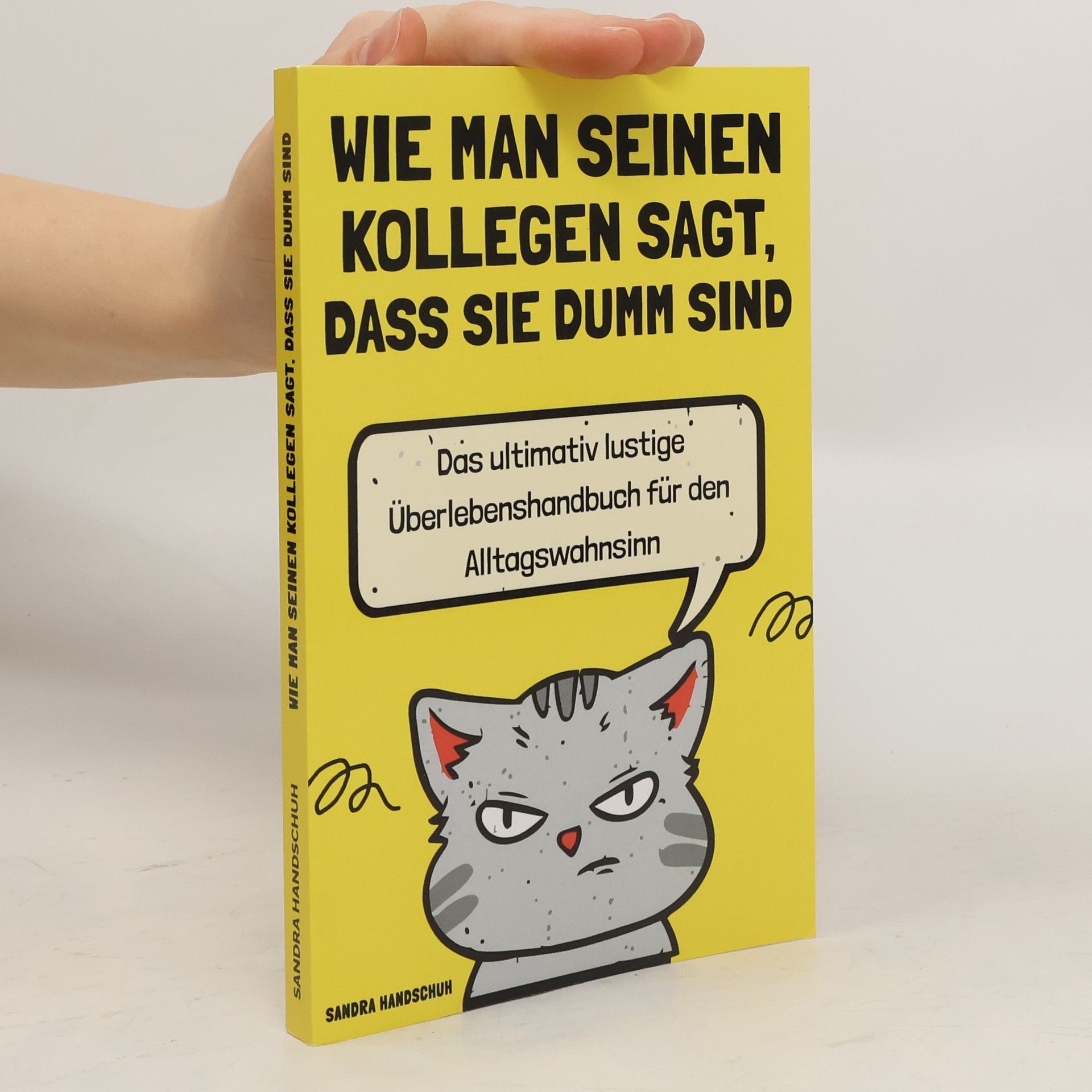 Sandra Handschuh Wie man seinen Kollegen sagt, dass sie dumm sind. Das ultimativ lustige Überlebenshandbuch für den Alltagswahnsinn