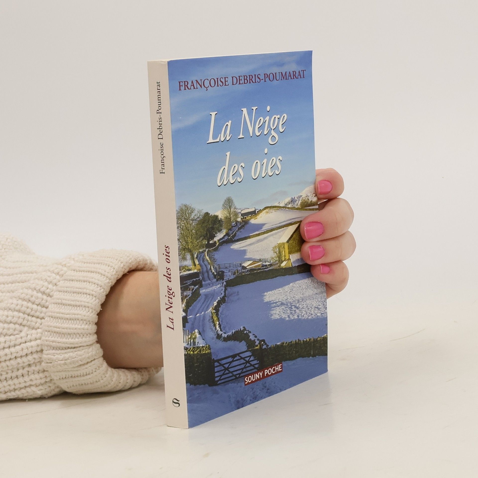 Françoise Debris-Poumarat La neige des oies
