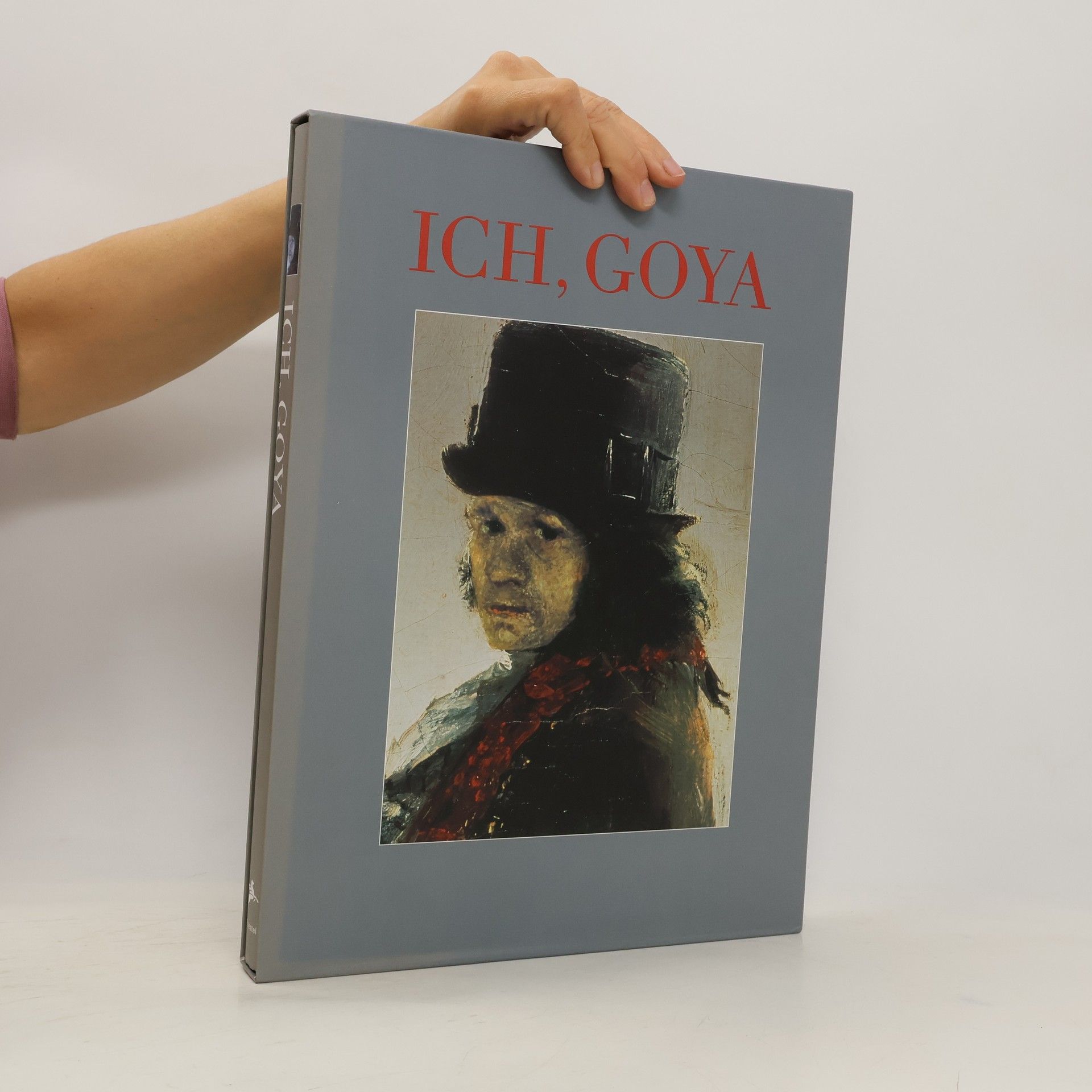 Dagmar Feghelm-Aebersold Ich, Goya