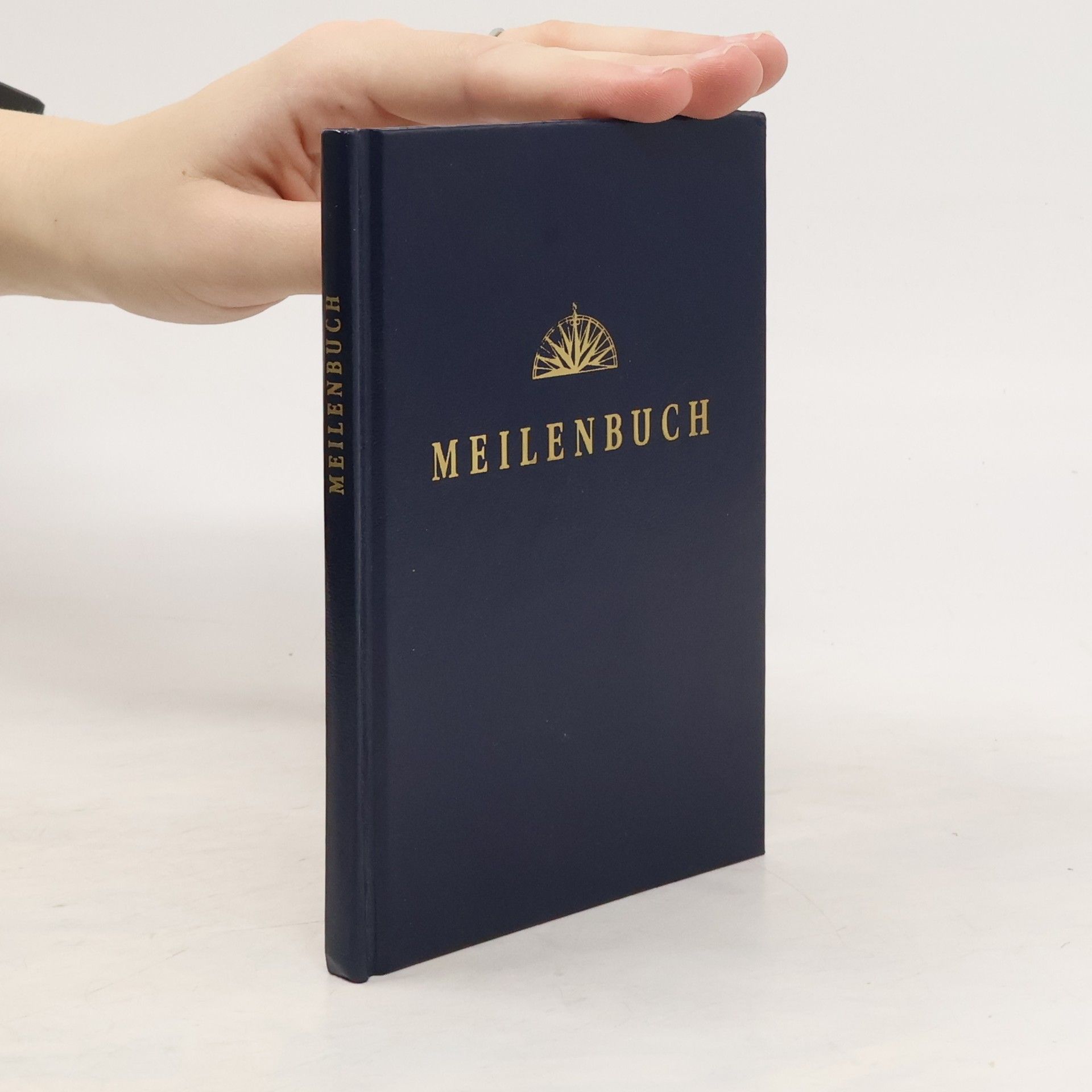 Rolf Dreyer Meilenbuch