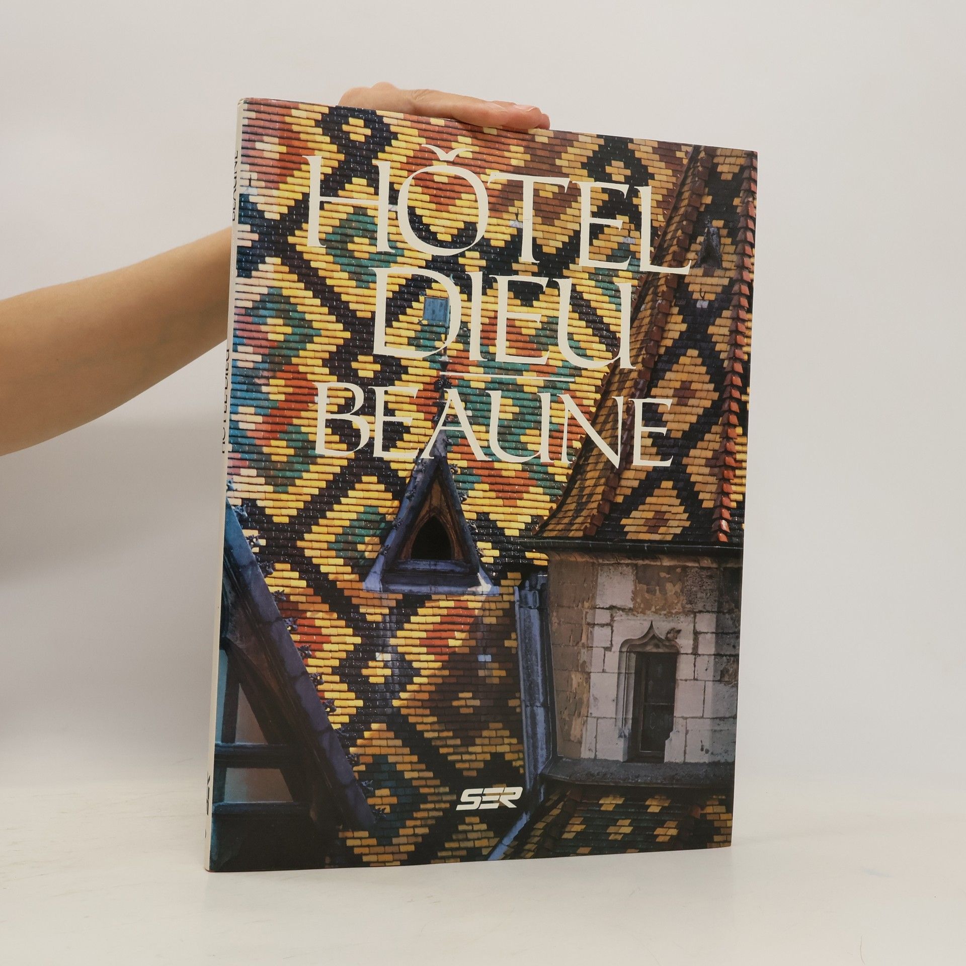 Roland de Narbonne Hôtel-Dieu, Beaune