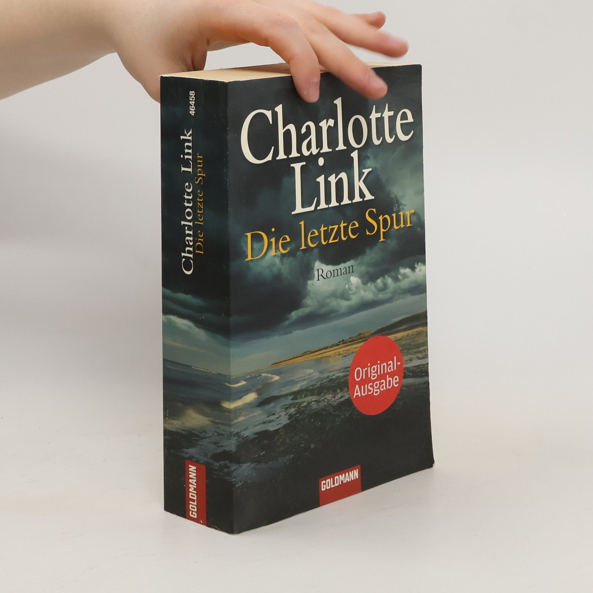 Charlotte Link Die letzte Spur