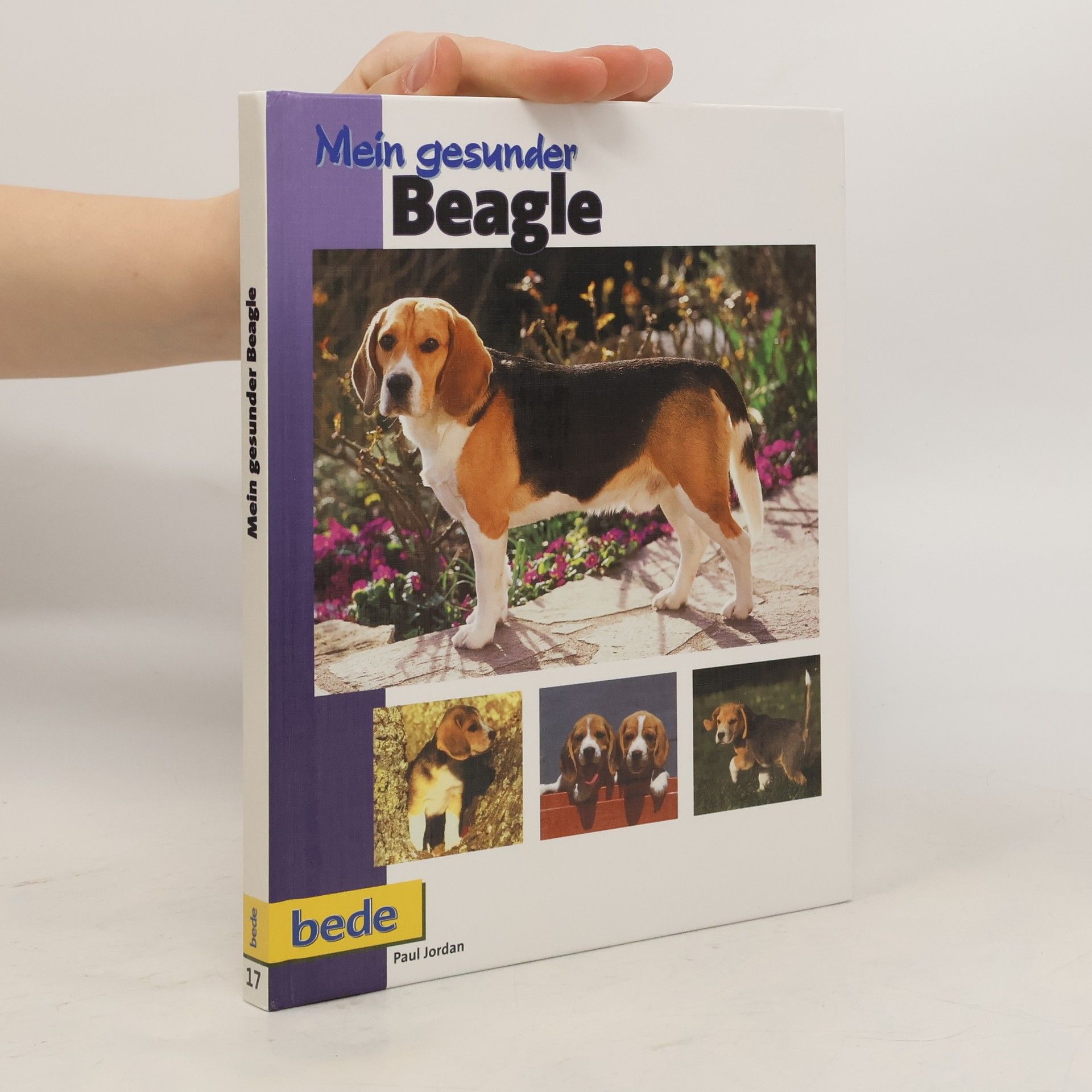 Paul Jordan Mein gesunder Beagle