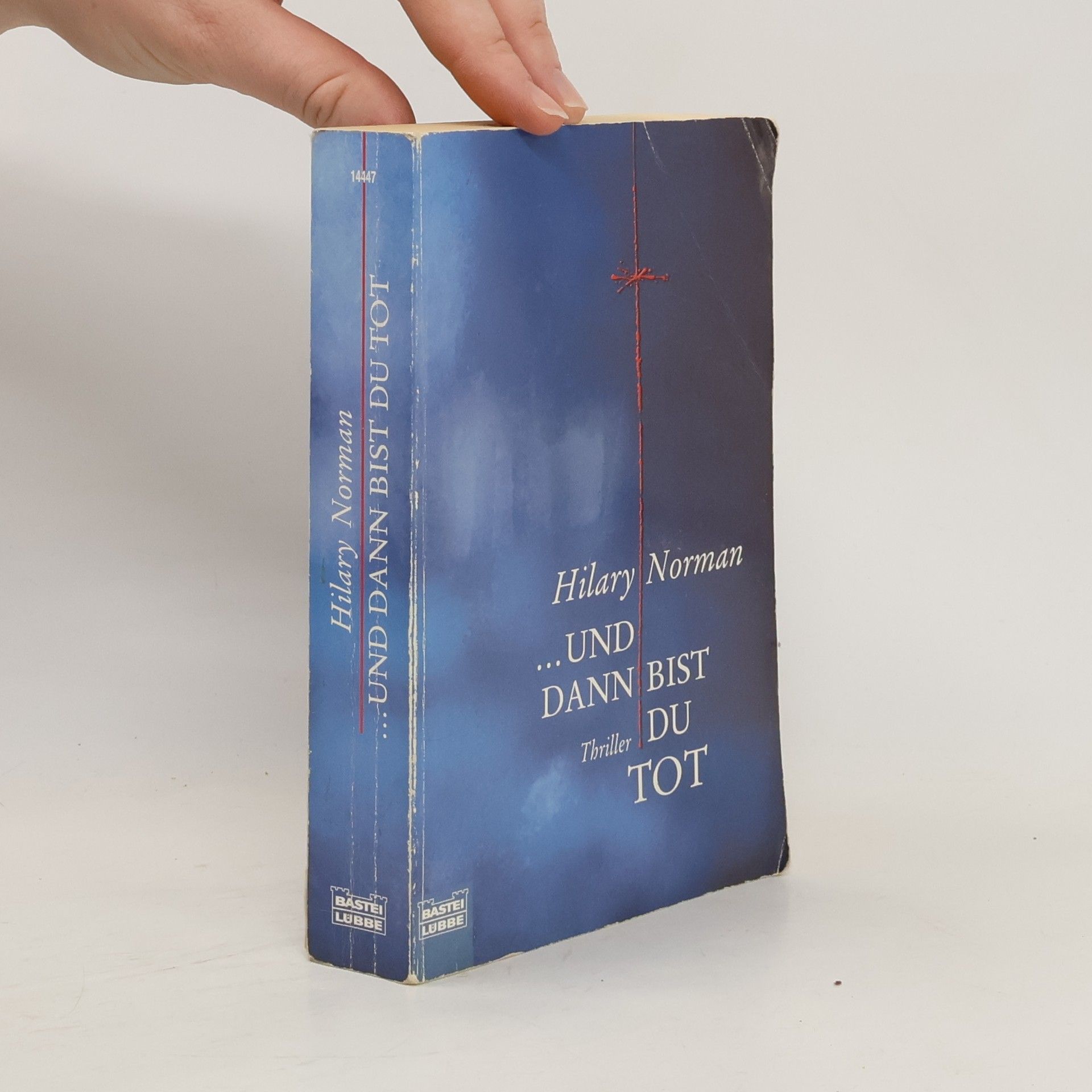 Hilary Norman ... und dann bist du tot