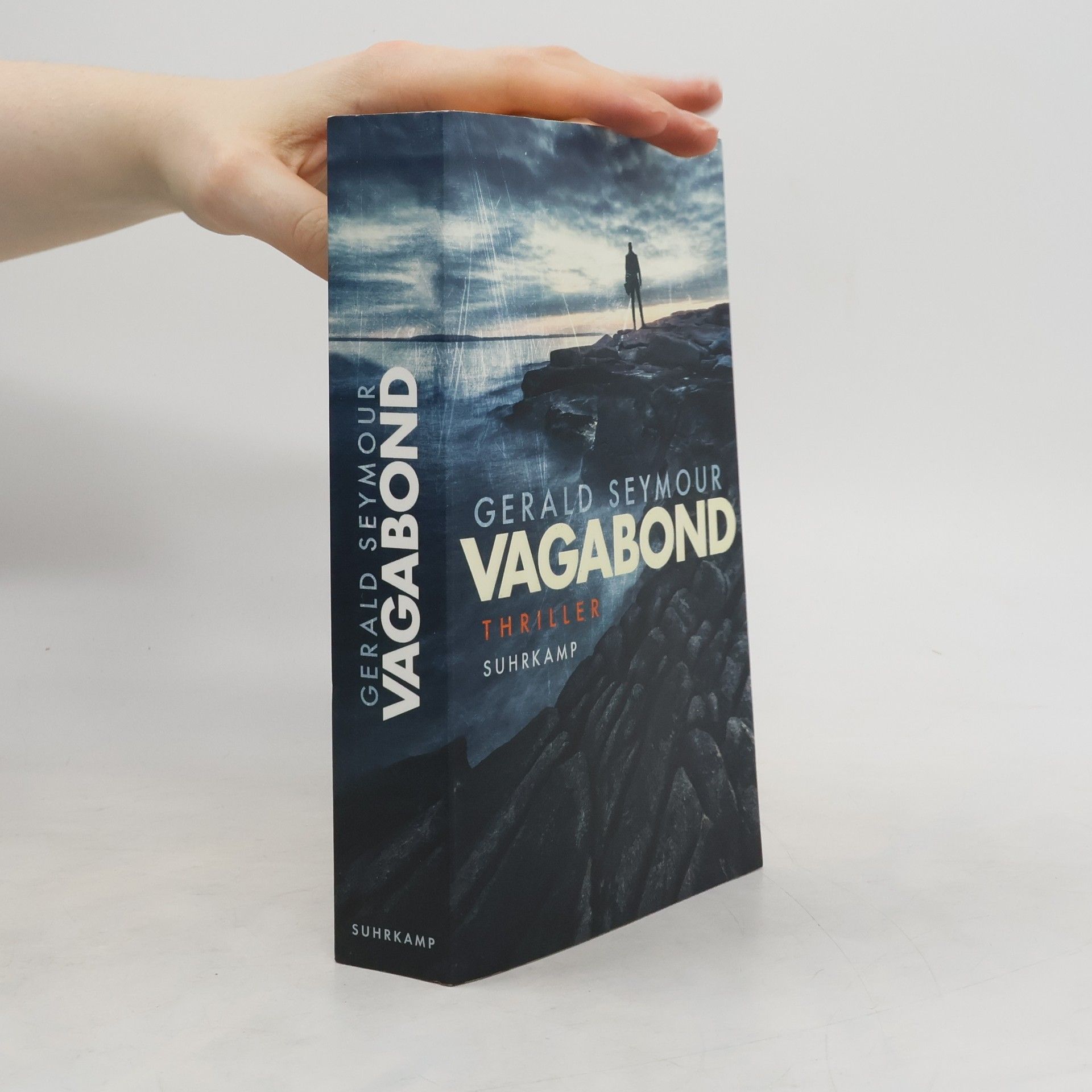 Gerald Seymour Vagabond