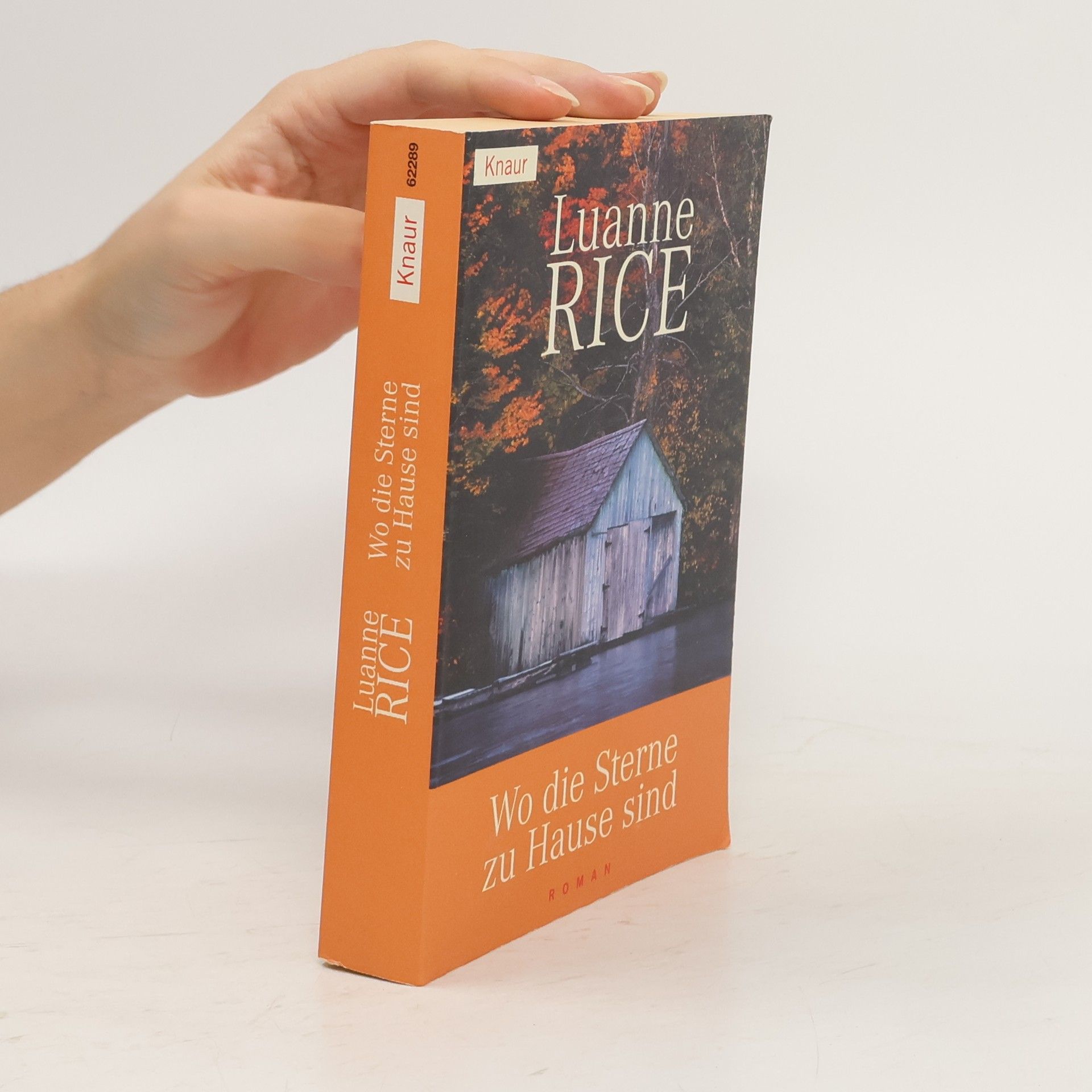 Luanne Rice Wo die Sterne zu Hause sind