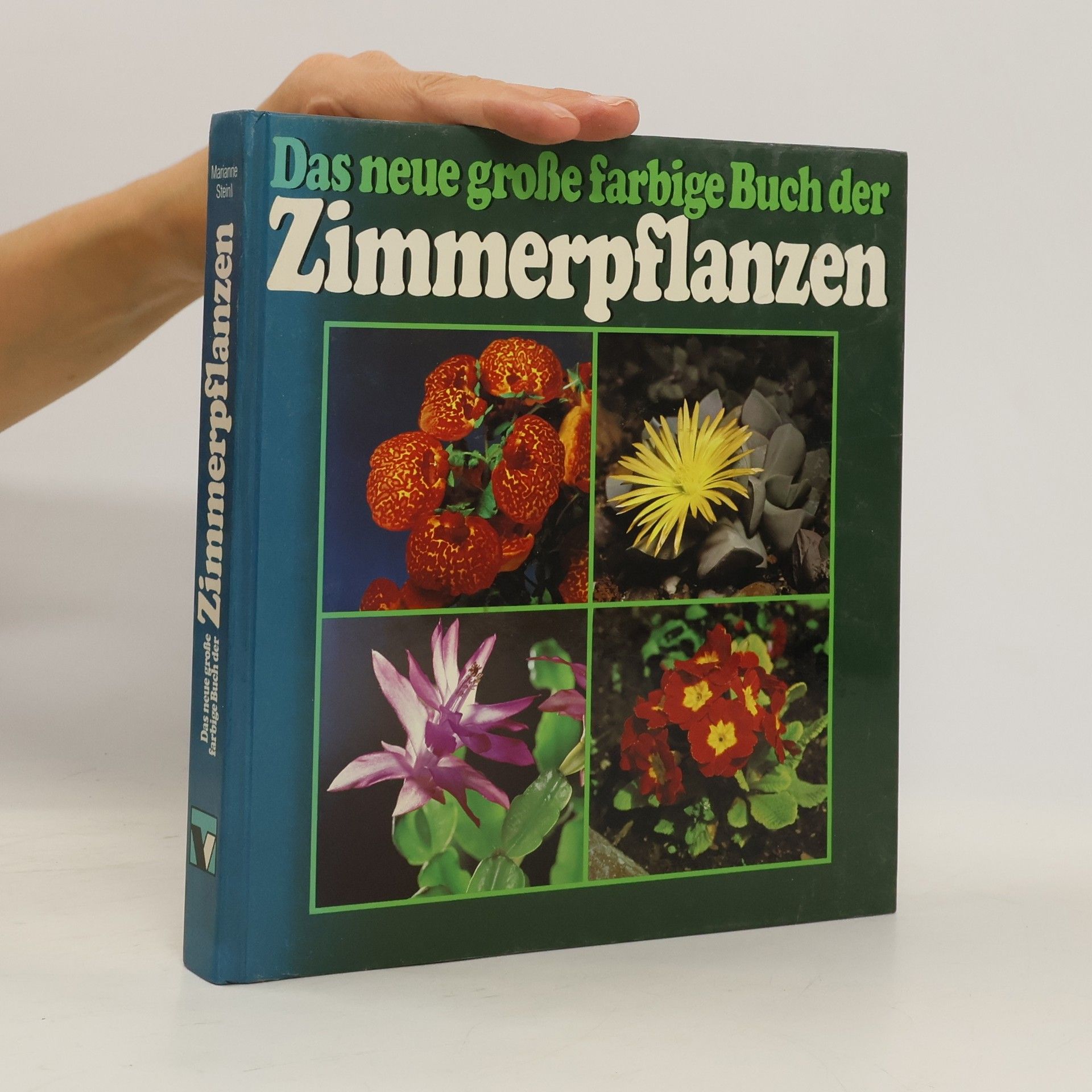 Autorenkollektiv Das neue große farbige Buch der Zimmerpflanzen