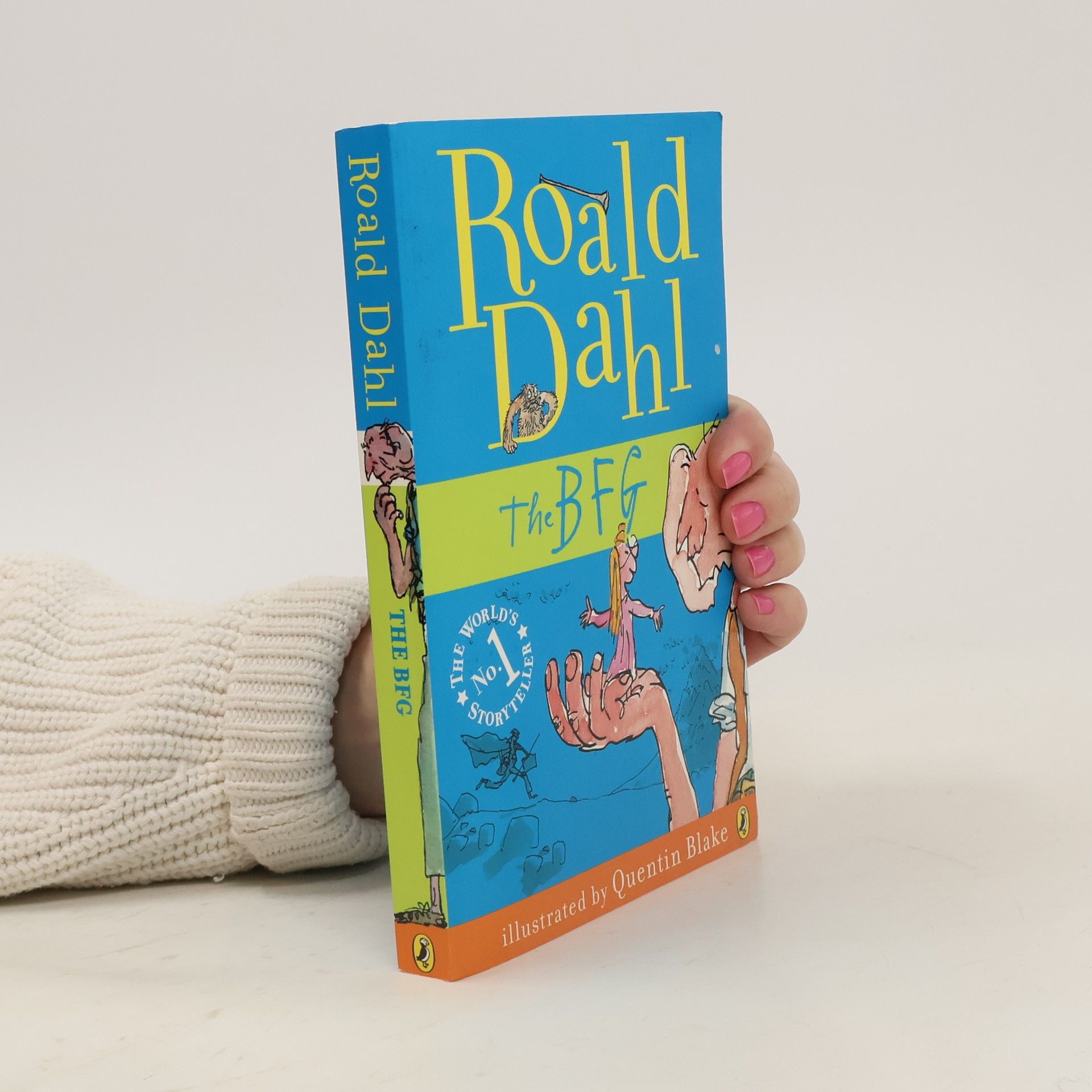 Roald Dahl The BFG
