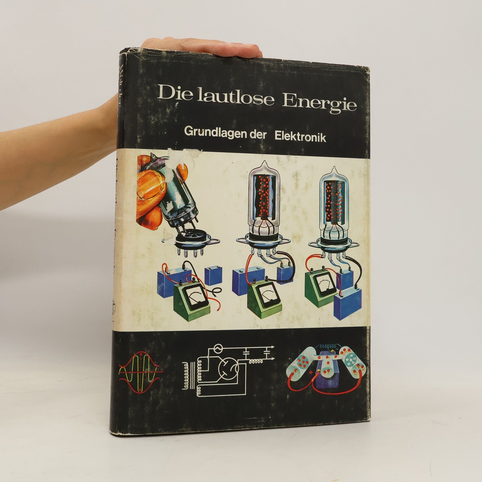 Joan Pick Die lautlose Energie