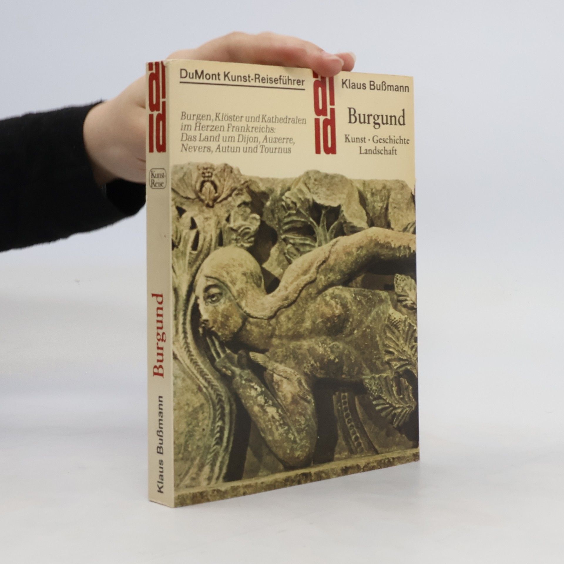 Kolektiv autorů Burgund