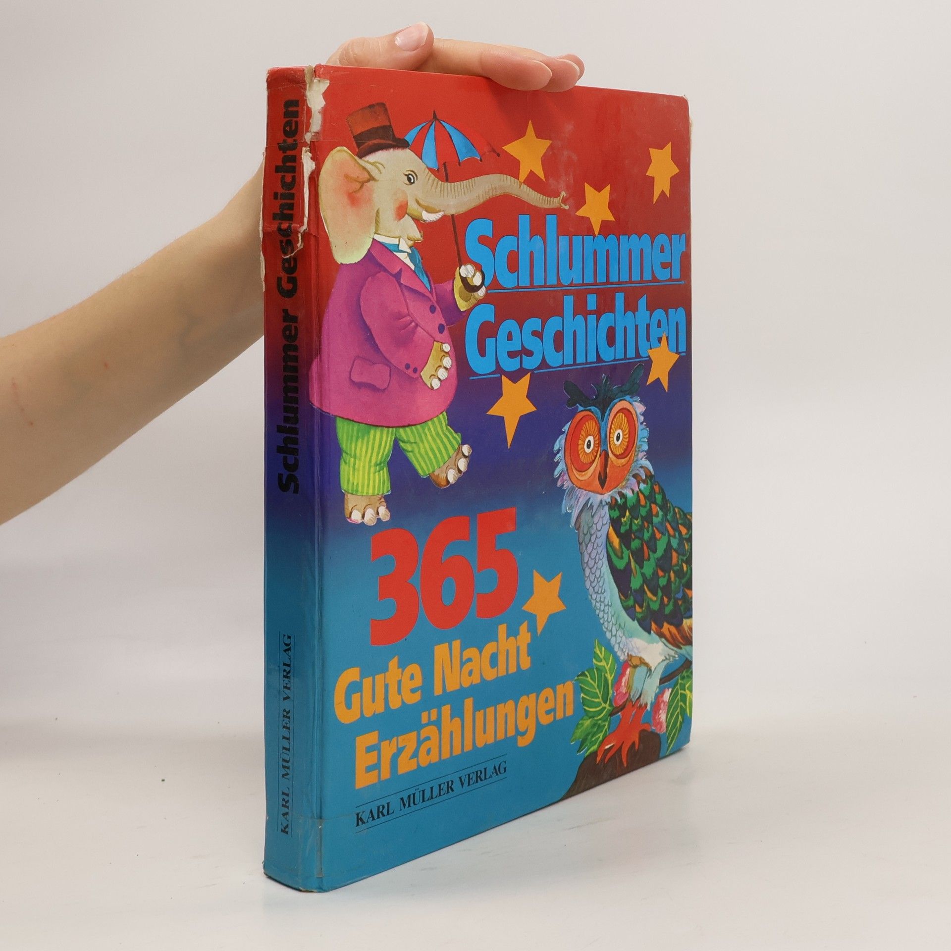 Autorenkollektiv Schlummer Geschichten. 365 Gute nacht Erzählungen