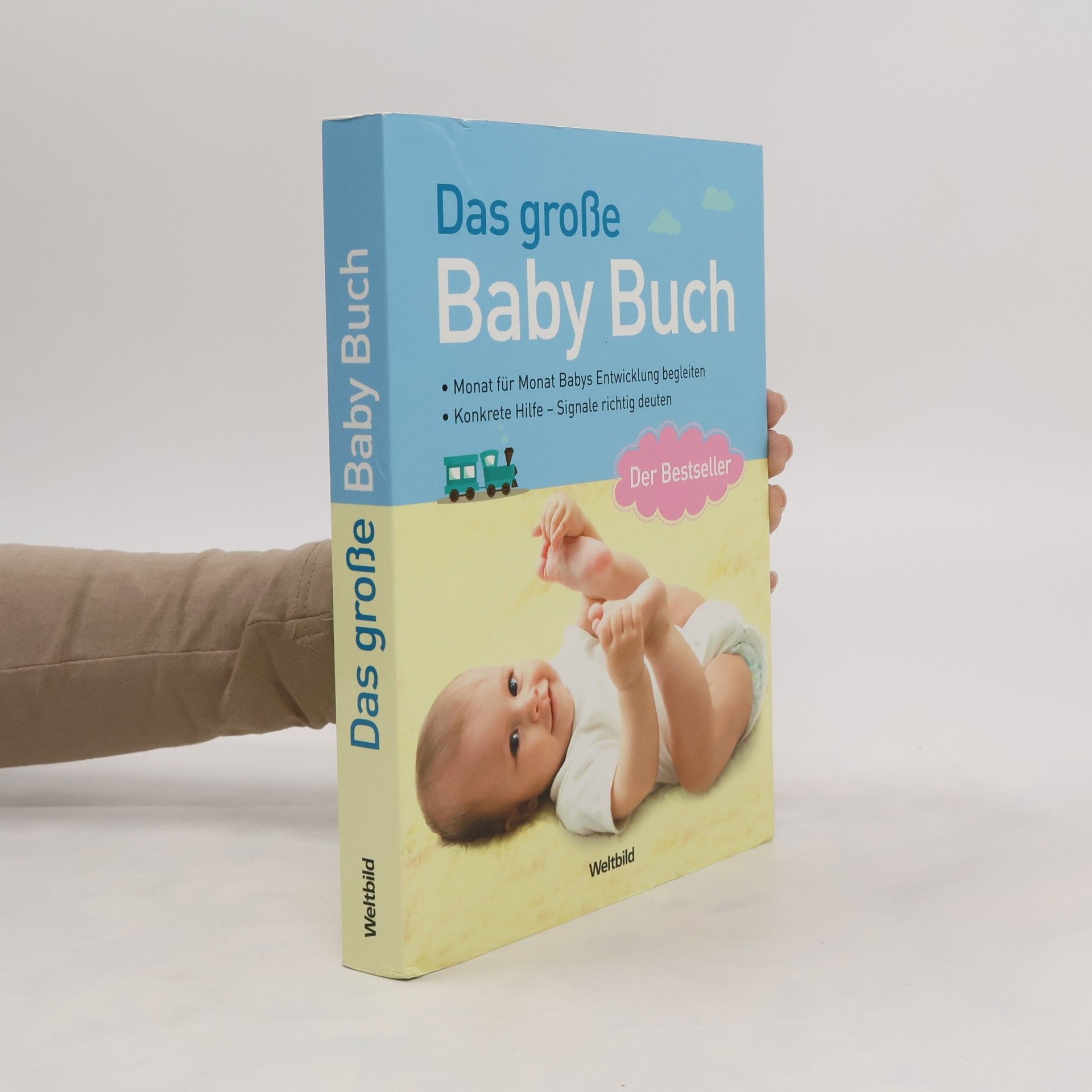 Birgit Gebauer-Sesterhenn Das große Baby-Buch