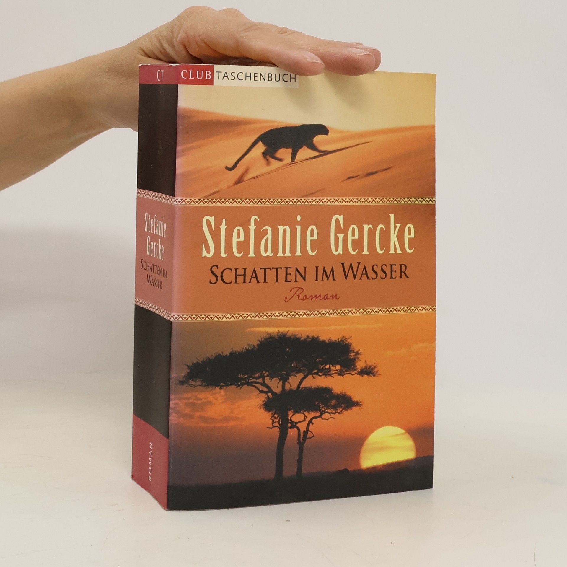 Stefanie Gercke Schatten im Wasser