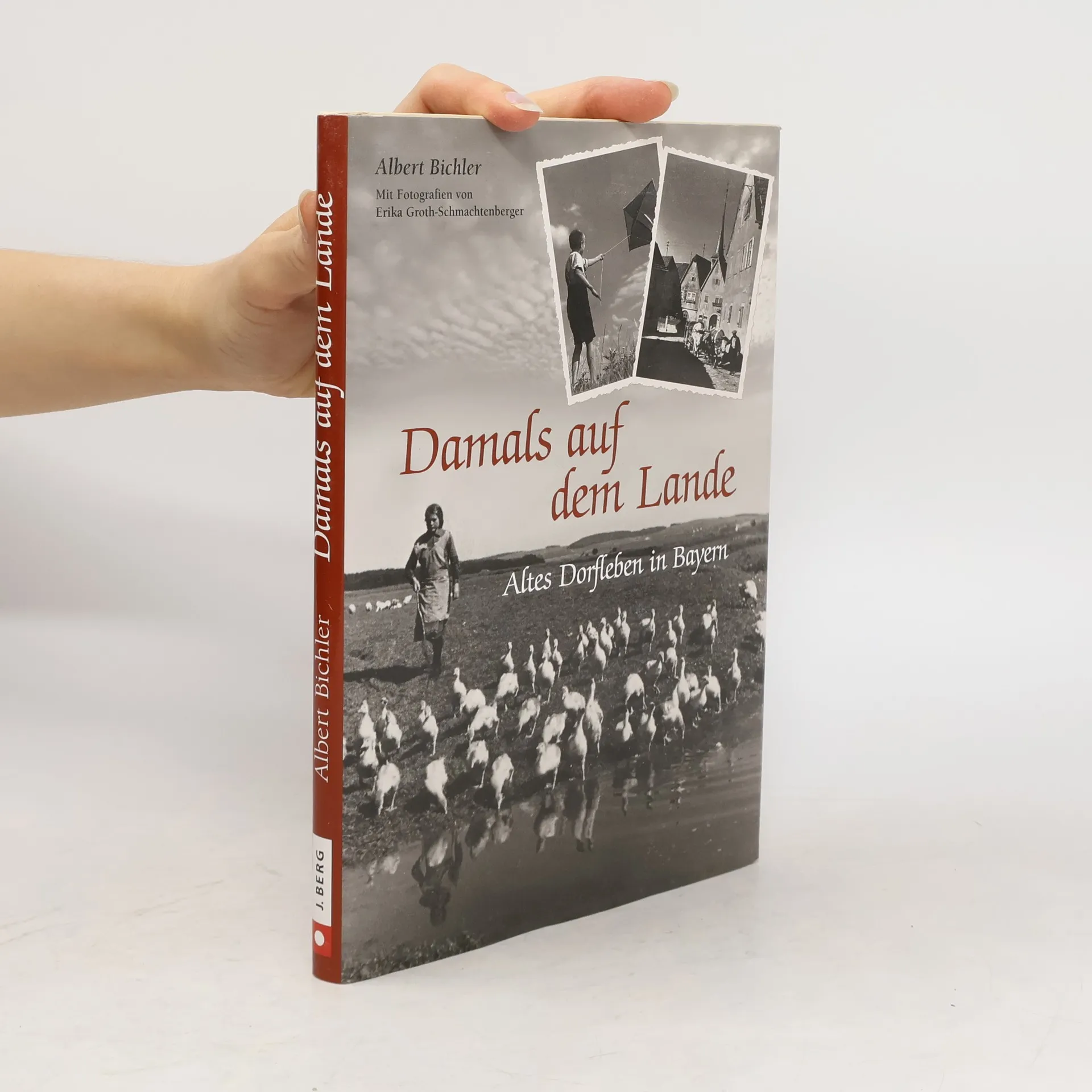 Damals auf dem Land | Livre | Albert Bichler | DE