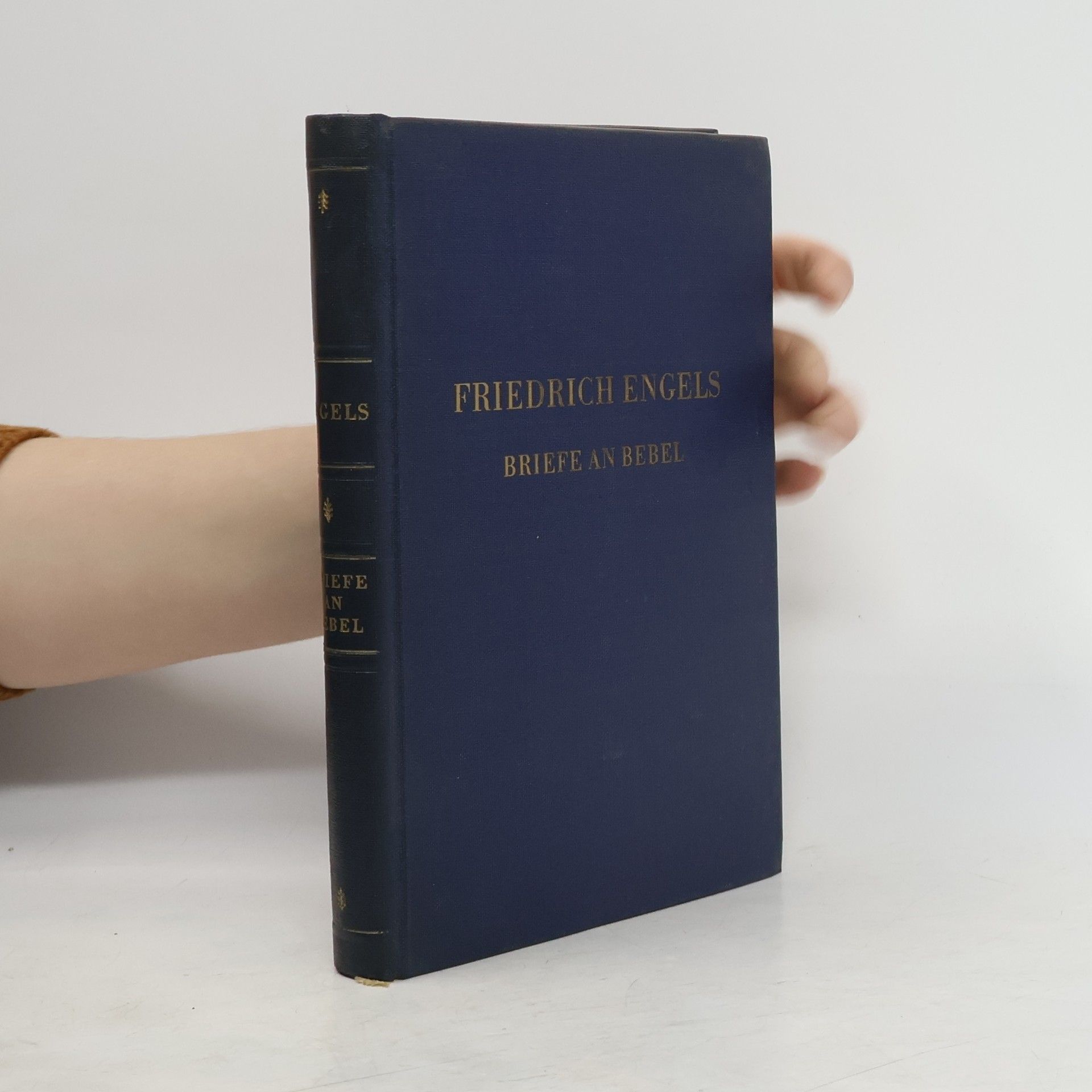 Friedrich Engels Briefe an Bebel