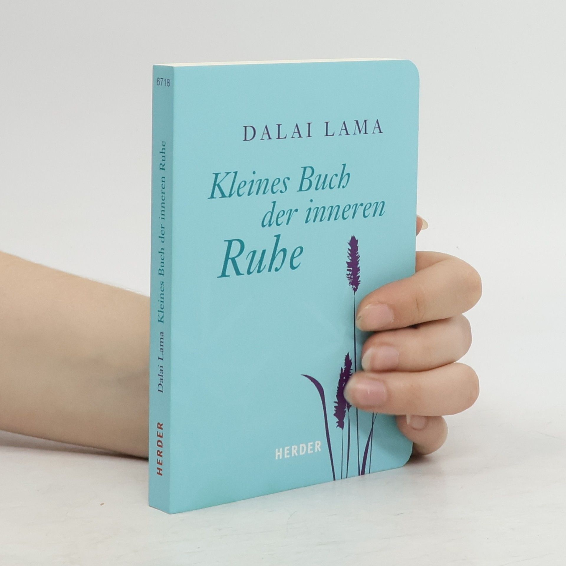 Dalajlama Kleines Buch der inneren Ruhe