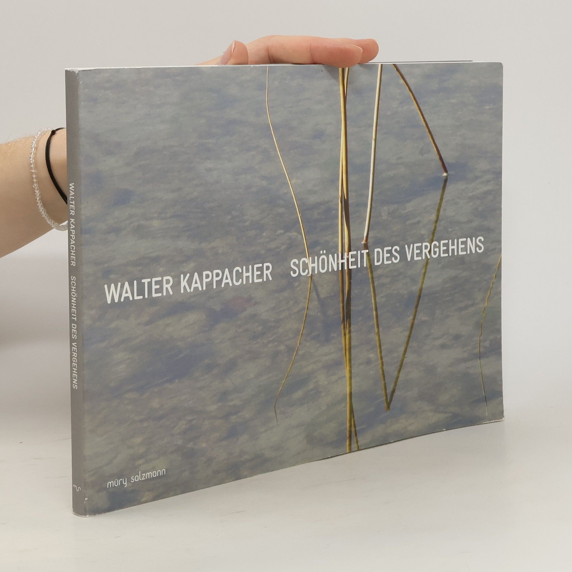 Walter Kappacher Schönheit des Vergehens