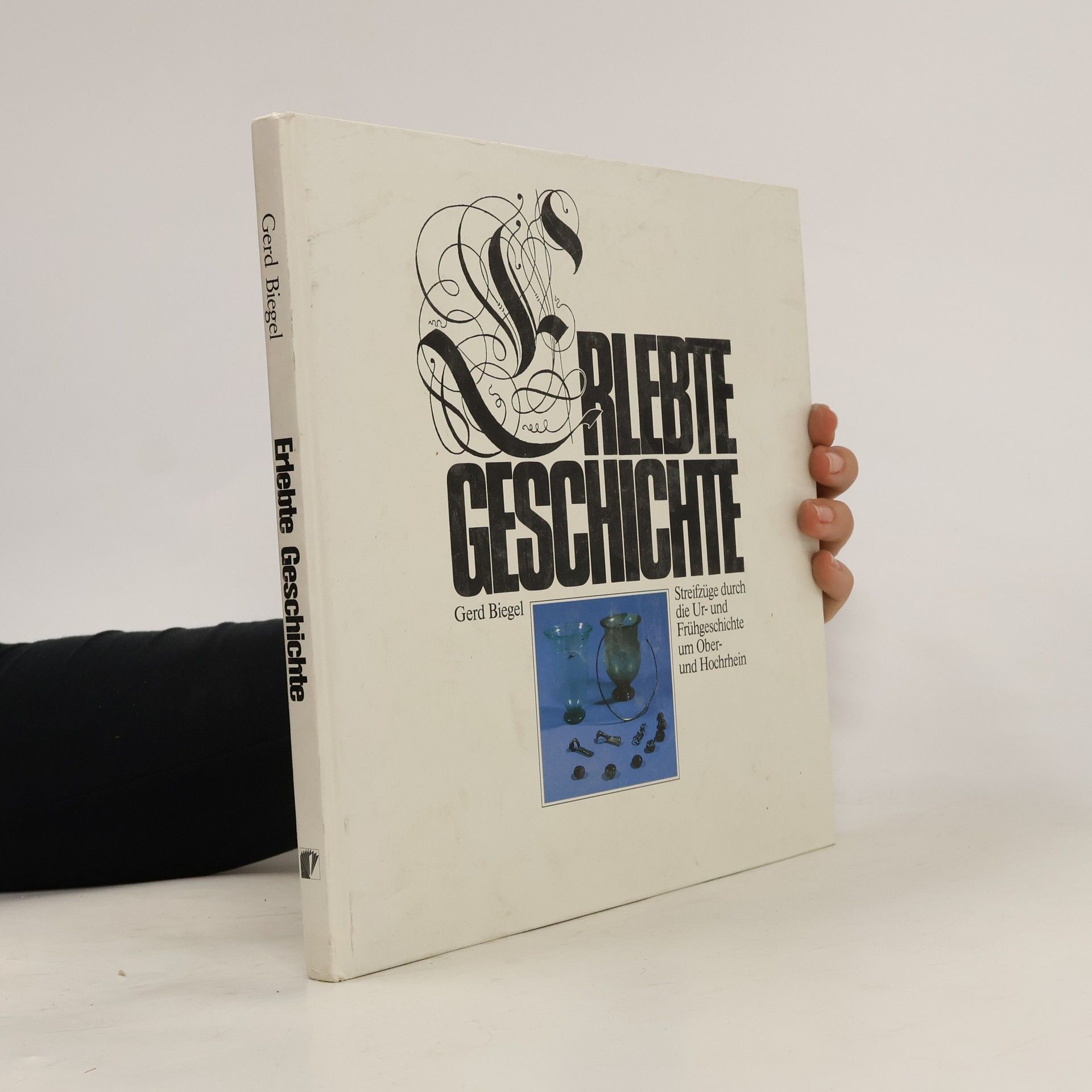 Gerd Biegel Erlebte Geschichte