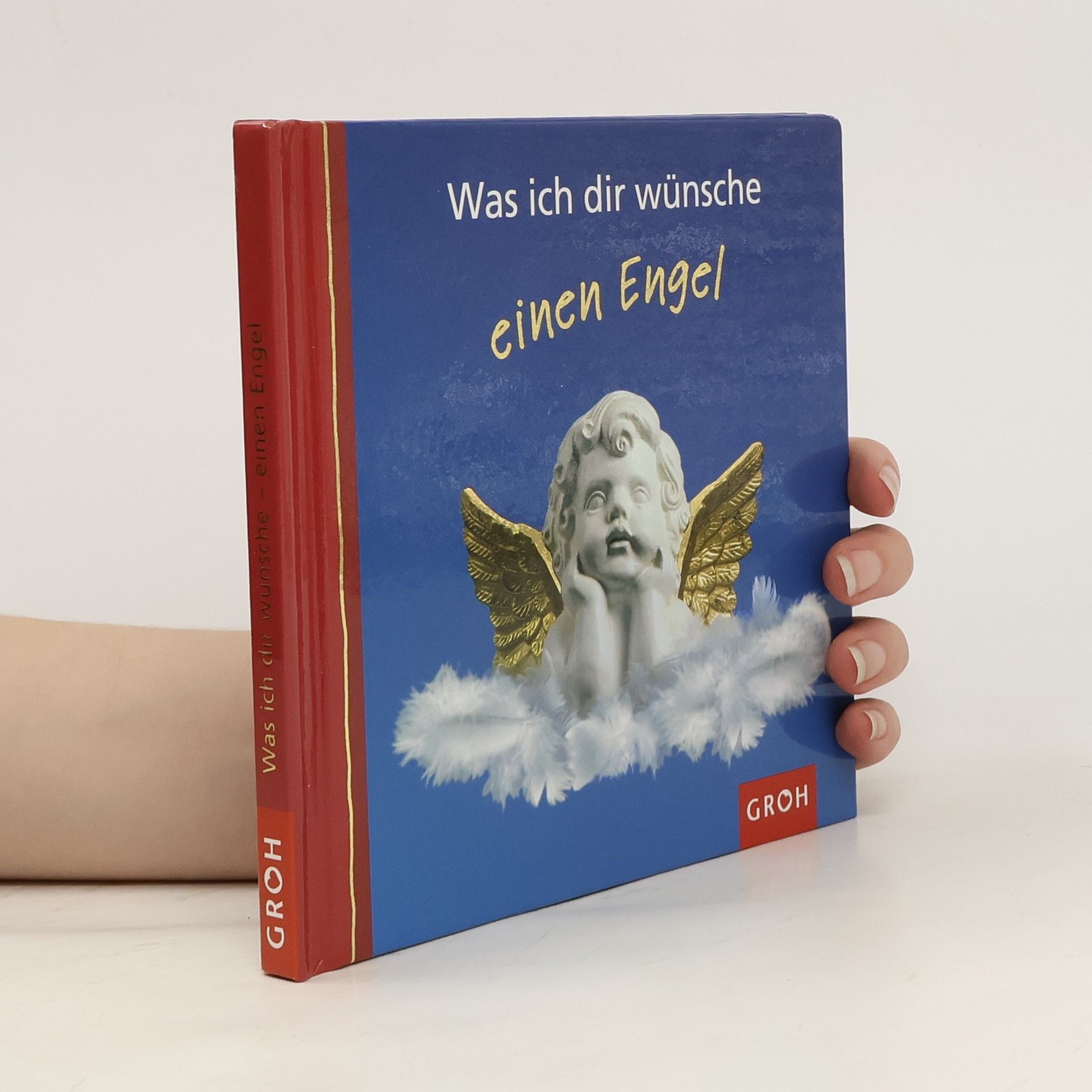 Ellen Sonntag Was ich dir wünsche, einen Engel