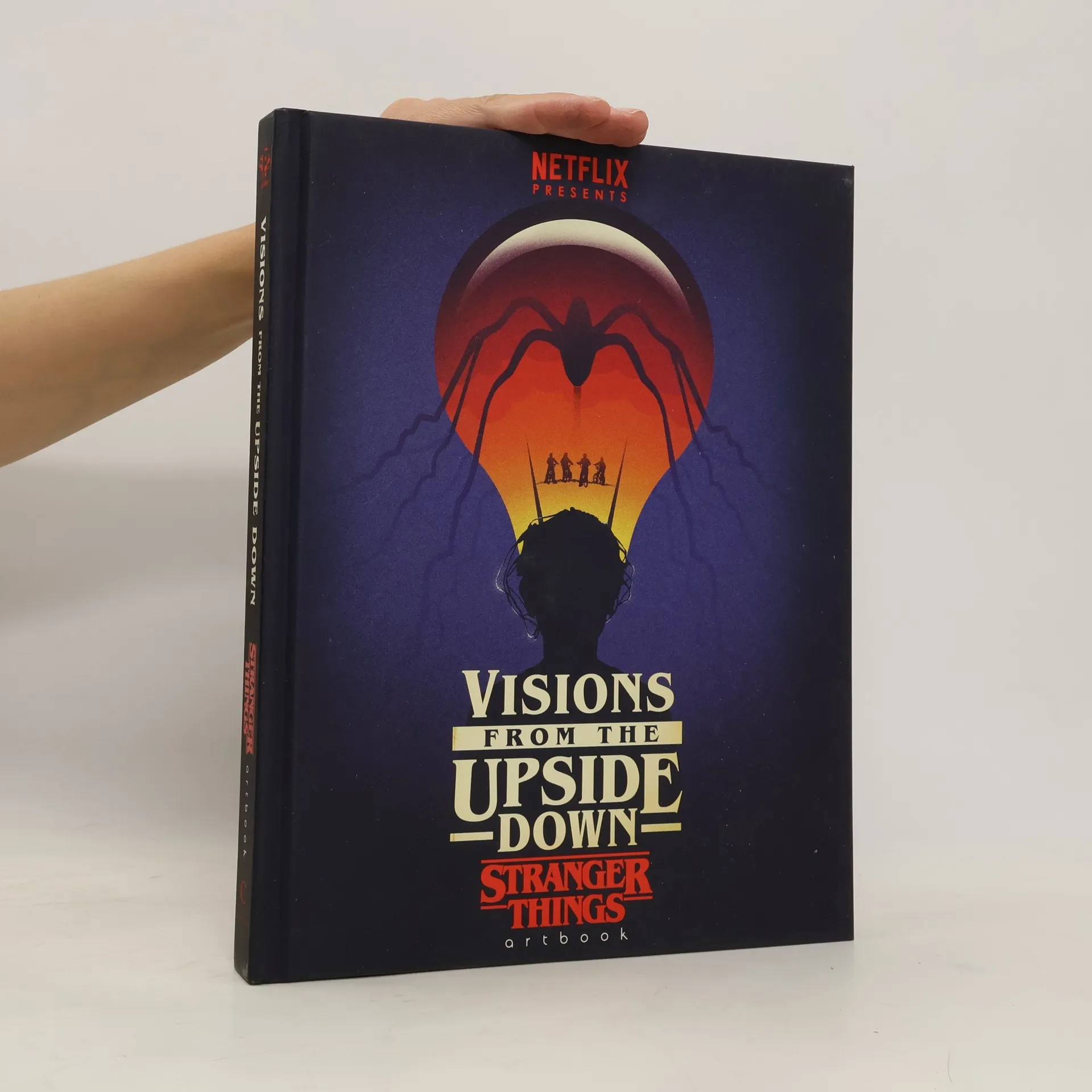 Visions from the Upside Down | Kniha | pevná | Cornerstone | EN
