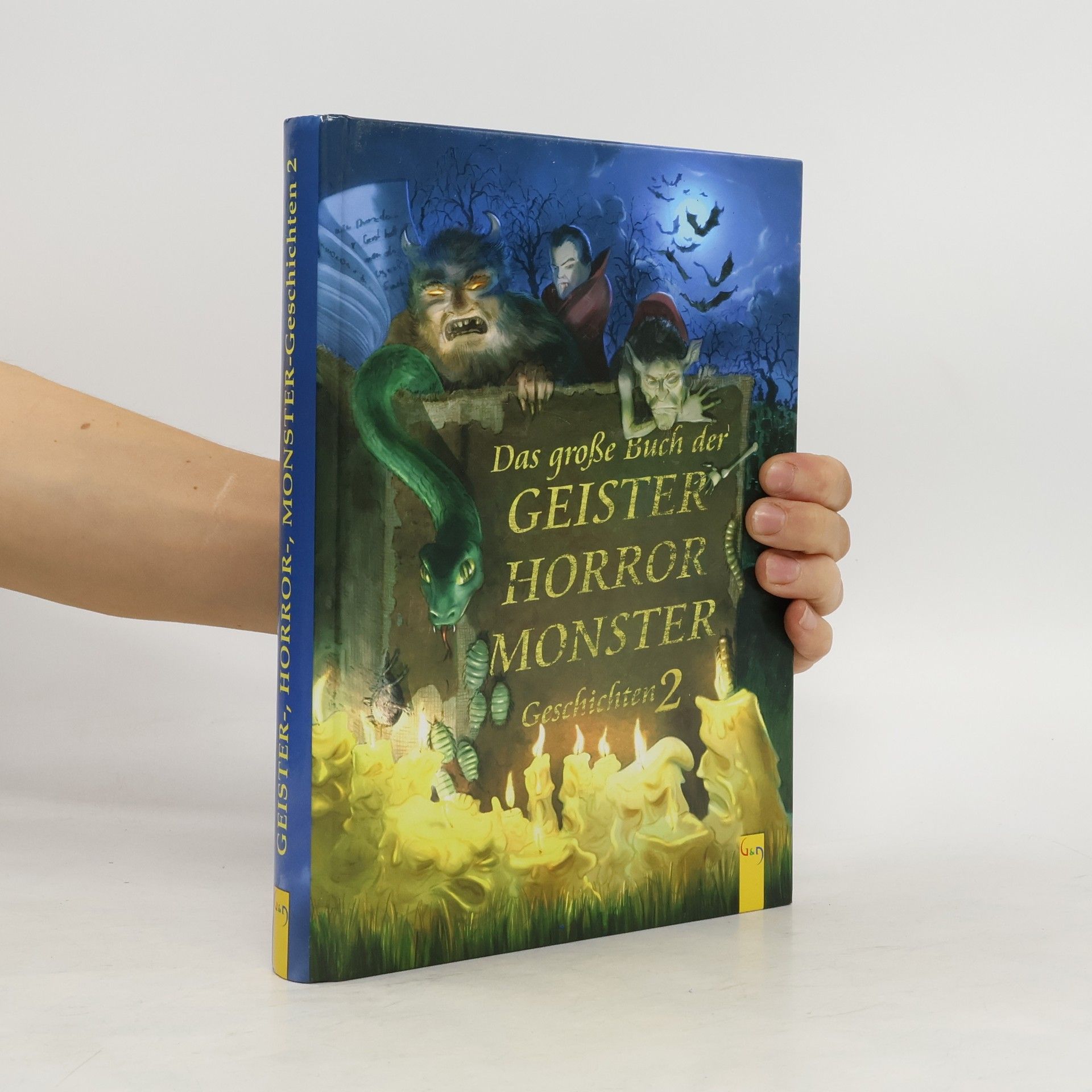 Terry Deary Das grosse Buch der Geister-, Horror-, Monster-Geschichten 2