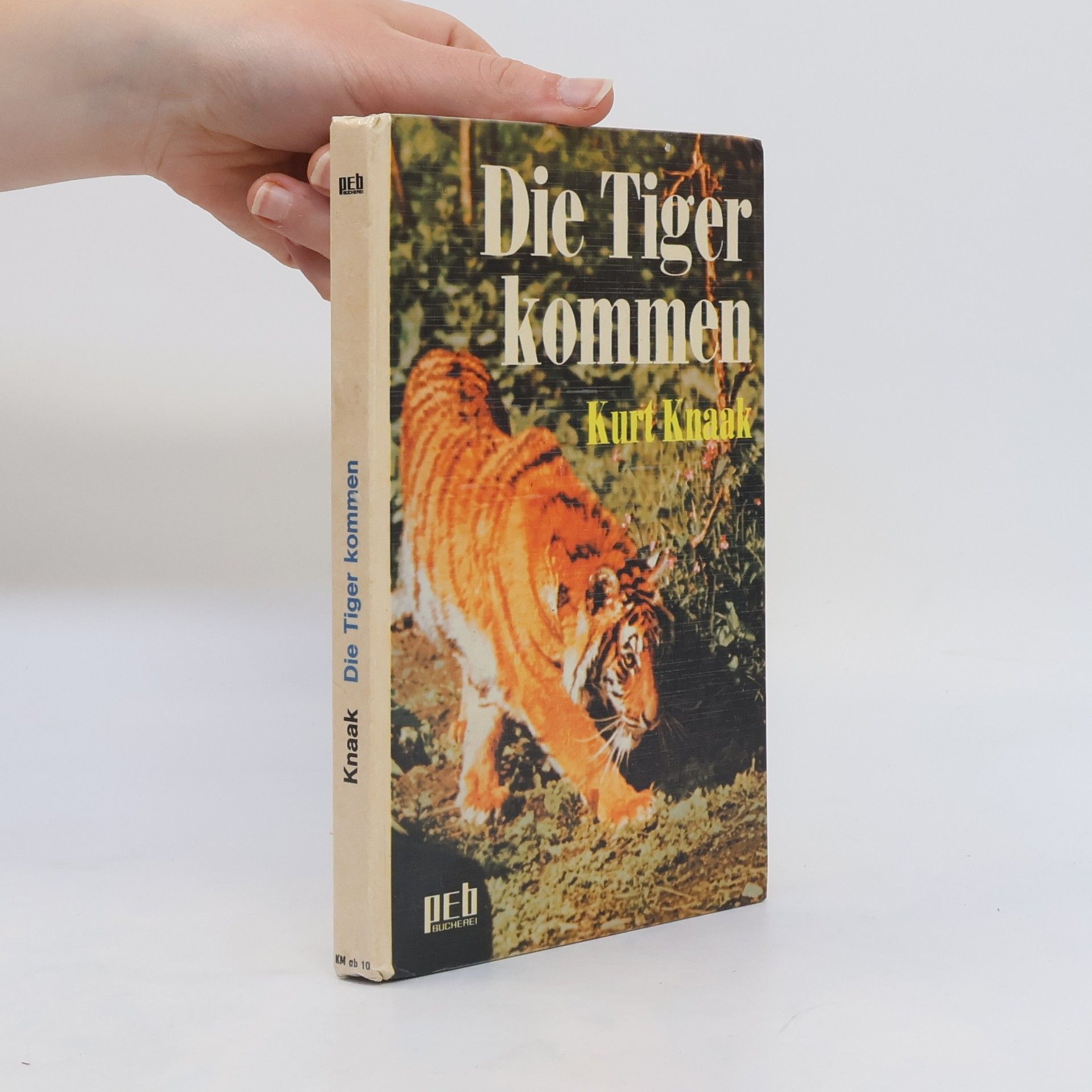 Kurt Knaak Die Tiger kommen