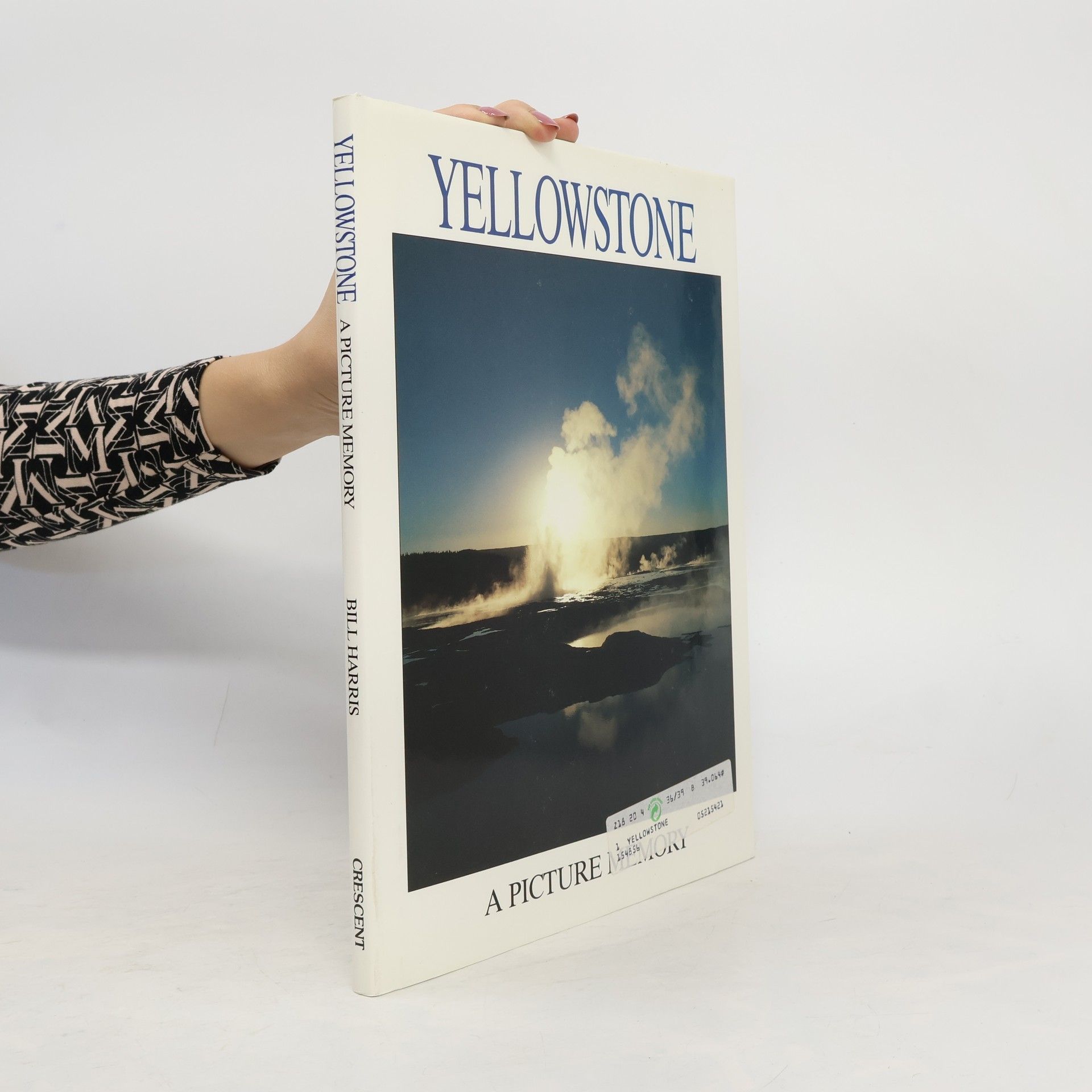 Bill Harris Yellowstone