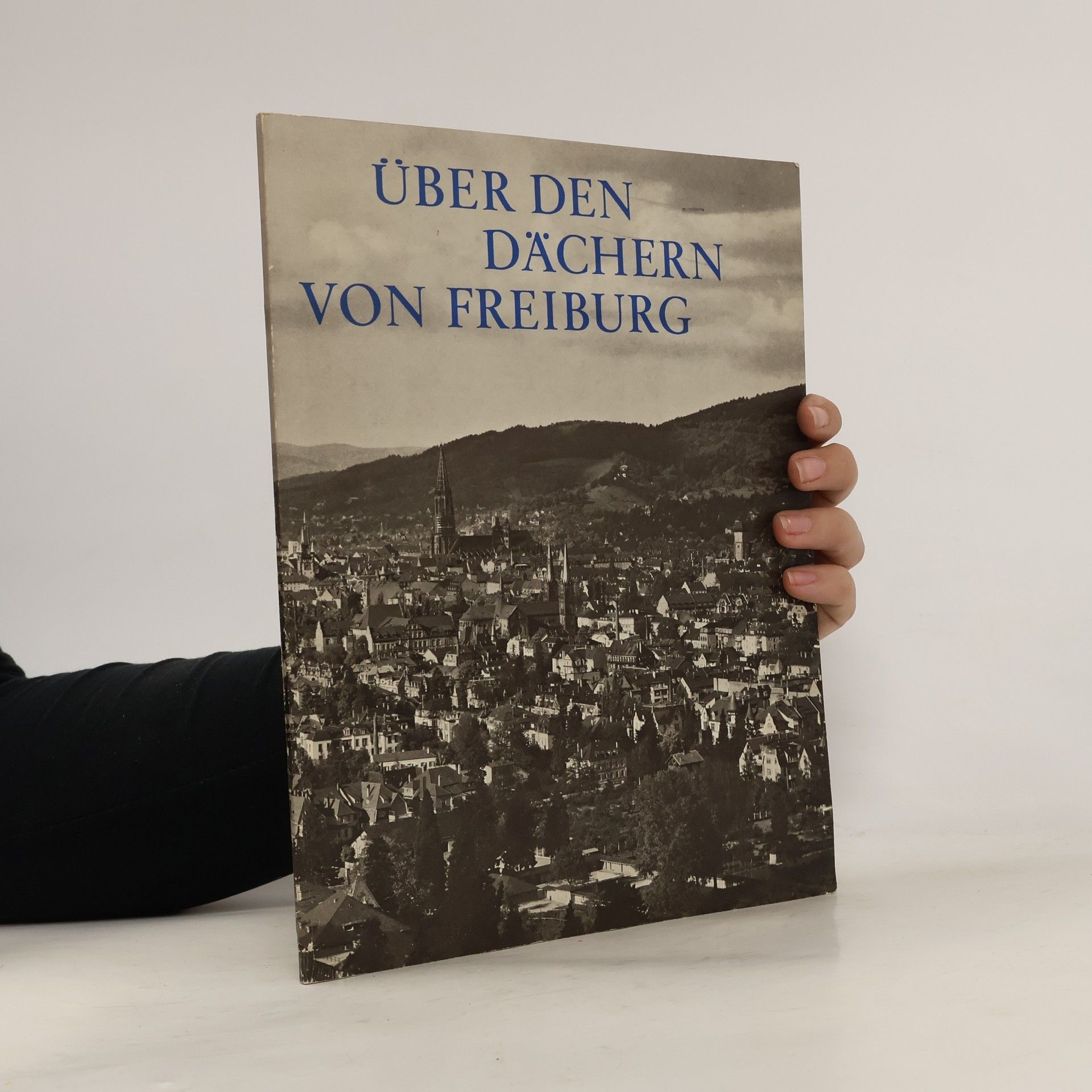 Autorenkollektiv Über den Dächern von Freiburg