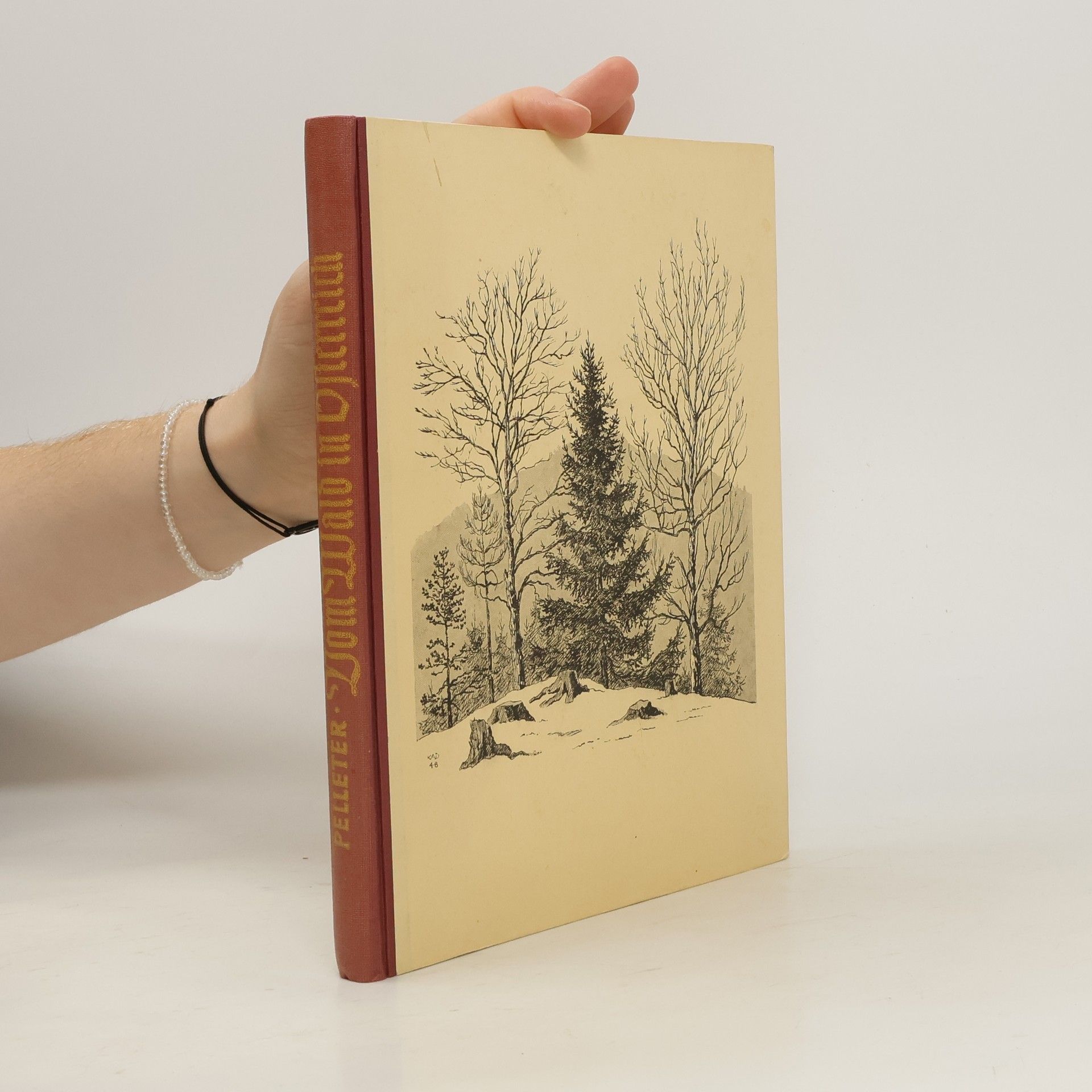 Woldemar Pelleter Vom Wald in Österreich