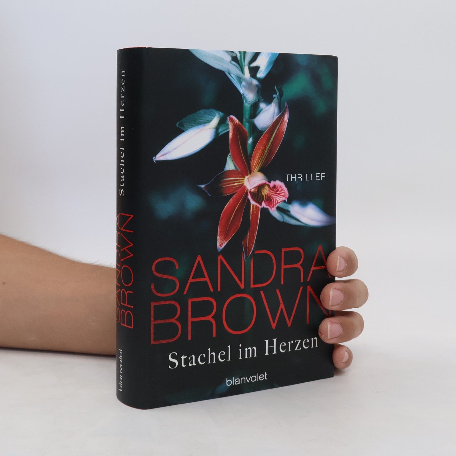 Sandra Brown Stachel im Herzen