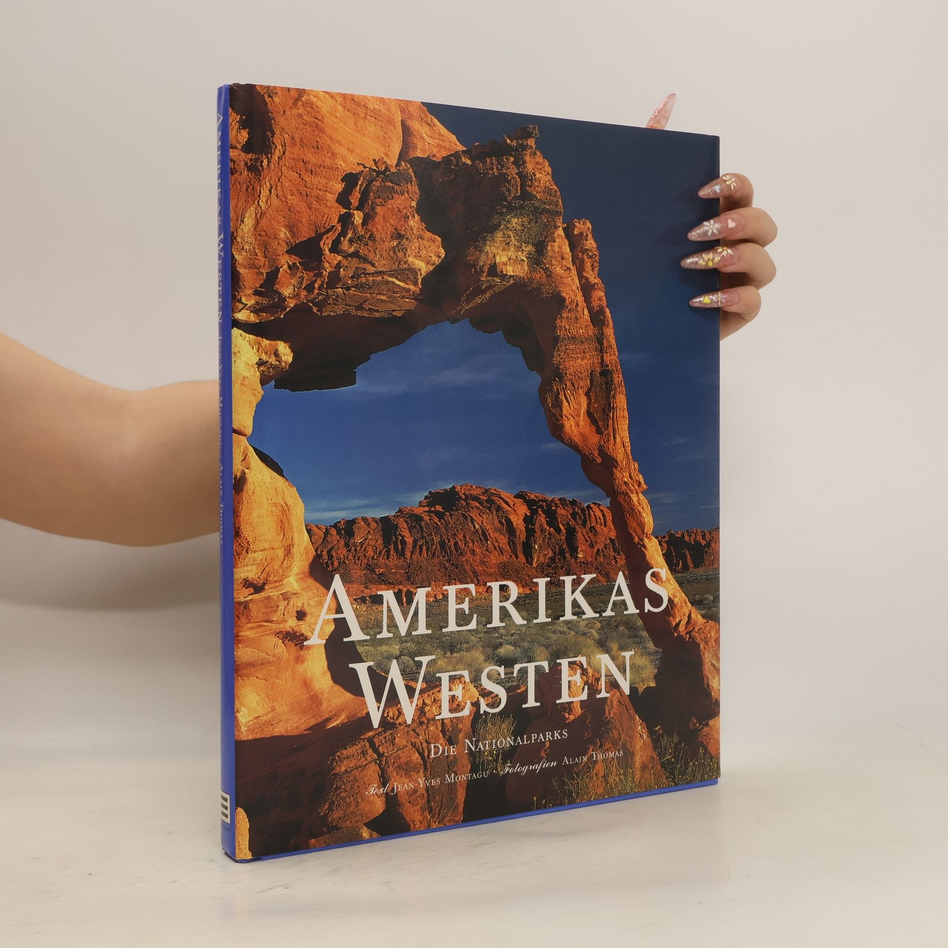 Jean-Yves Montagu Amerikas Westen