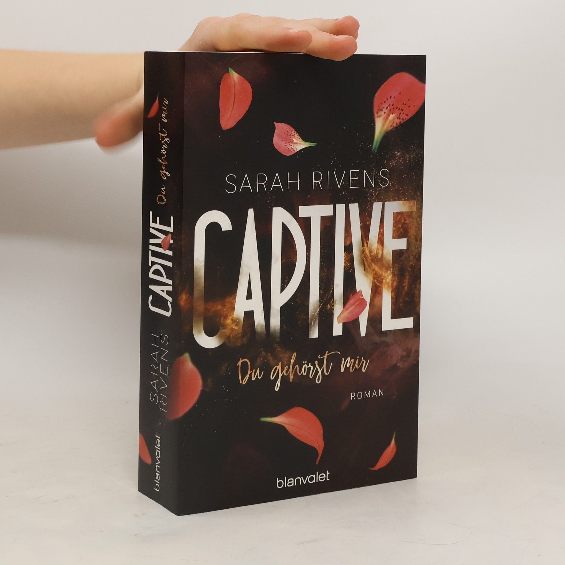 Sarah Rivens Captive - Du gehörst mir