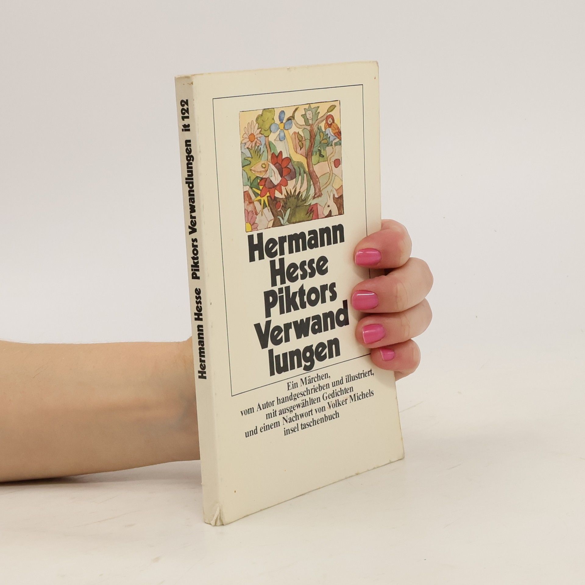 Hermann Hesse Piktors Verwandlungen