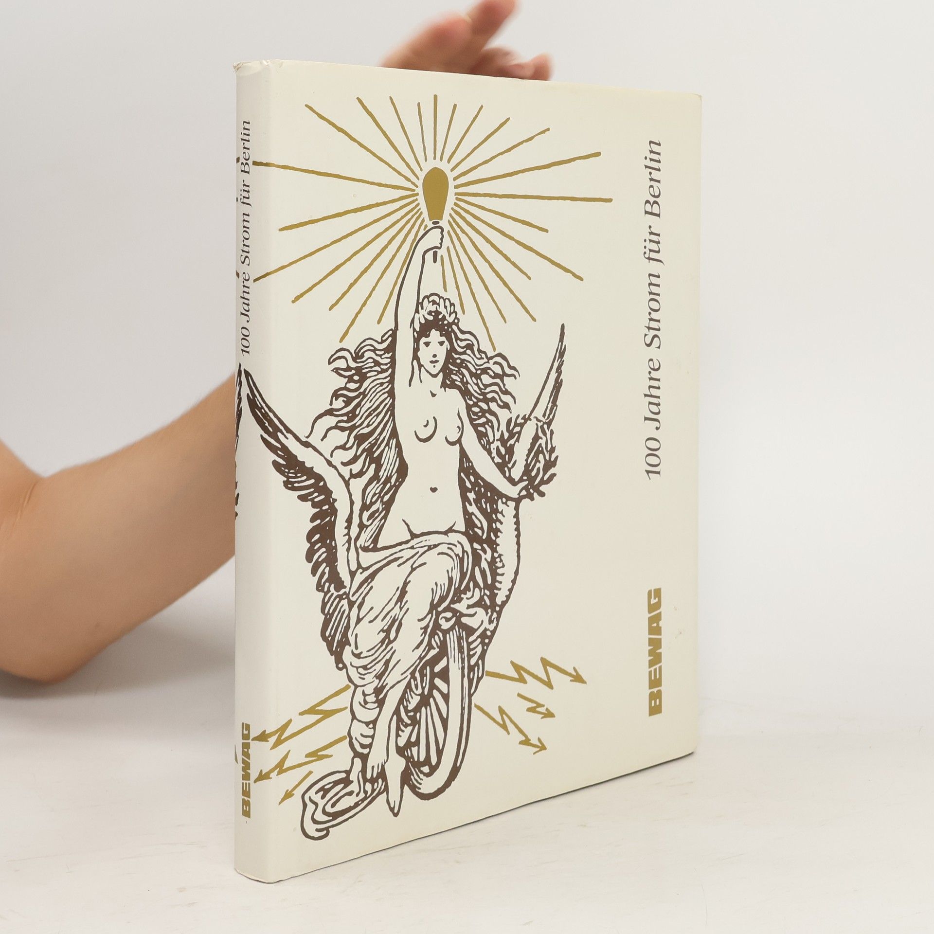 AA.VV. 100 Jahre Strom für Berlin