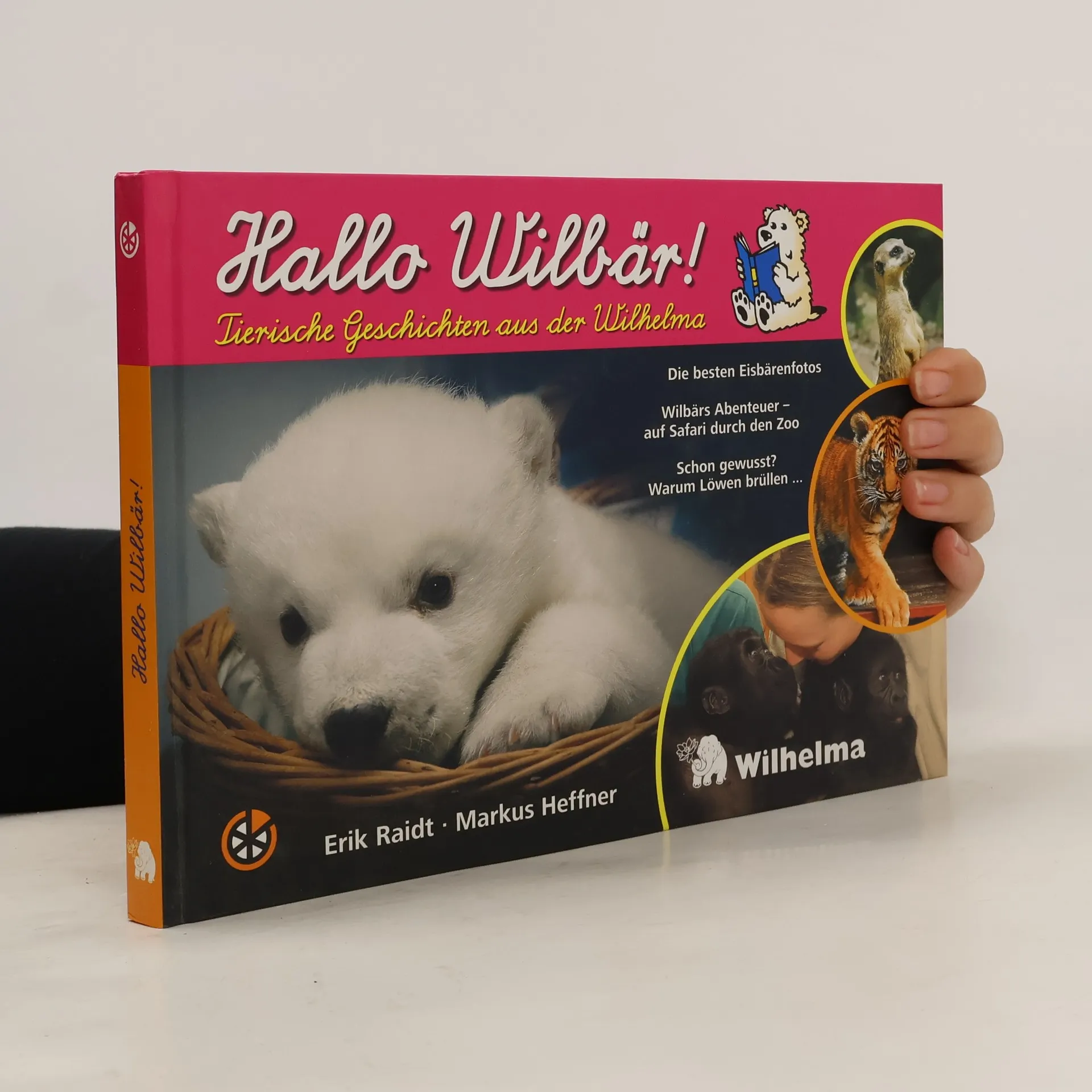 Hallo Wilbär! | Buch | Erik Raidt